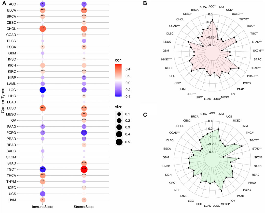 Frontiers | Pan-Cancer Analysis Reveals the Multidimensional Expression ...