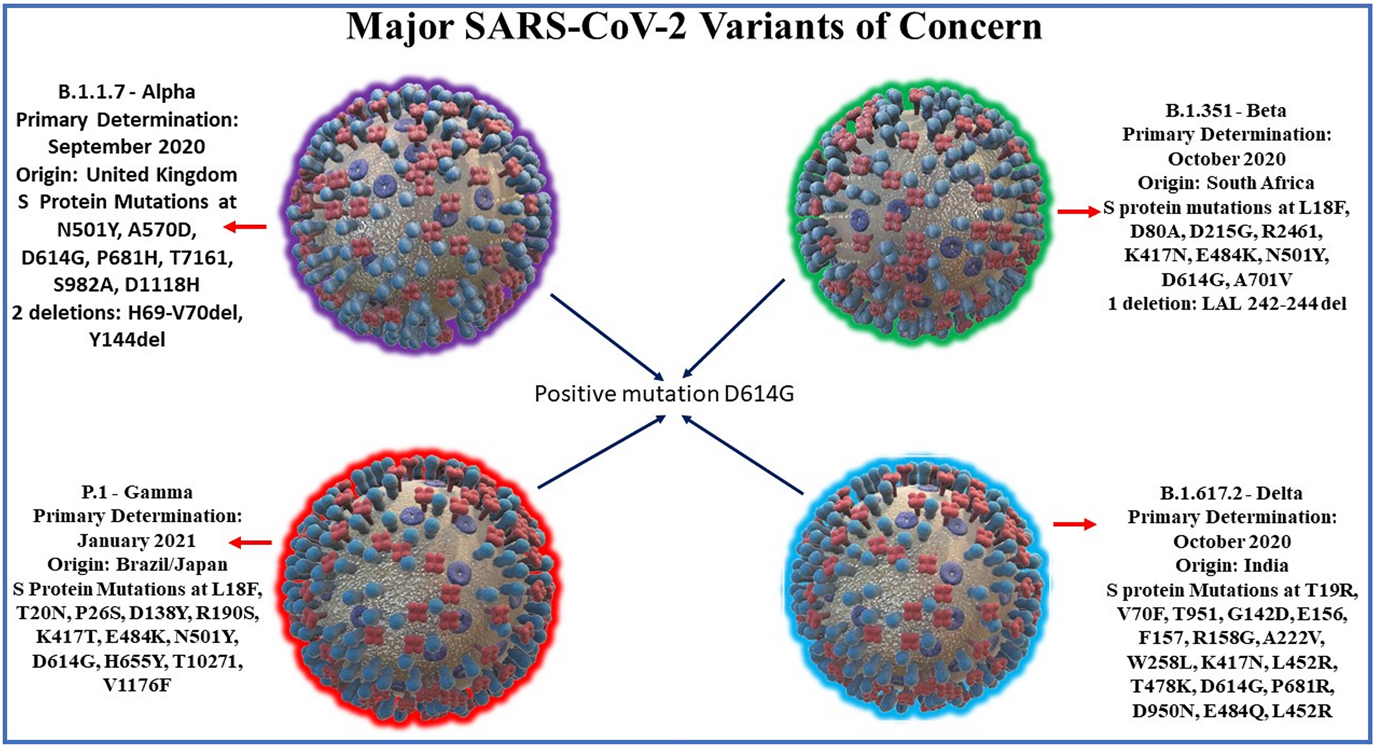 Viruses  Topical Collection : SARS-CoV-2 and COVID-19