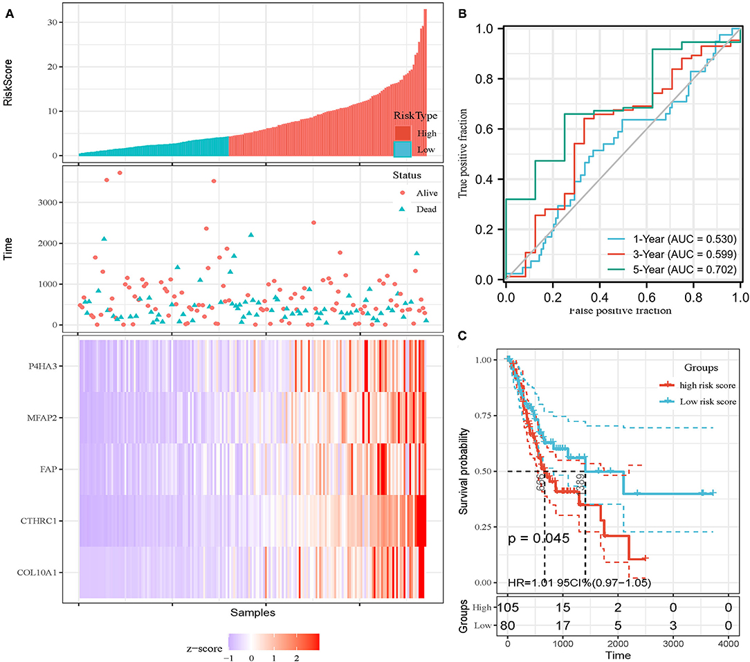 Frontiers | Development And Validation Of A Novel Prognosis Prediction ...