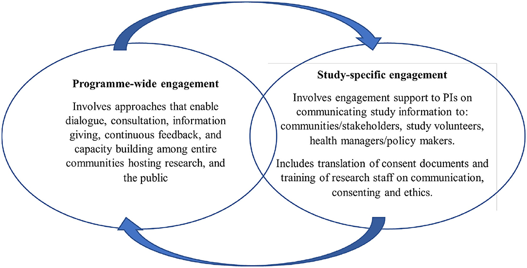 Piaget and vygotsky online venn diagram