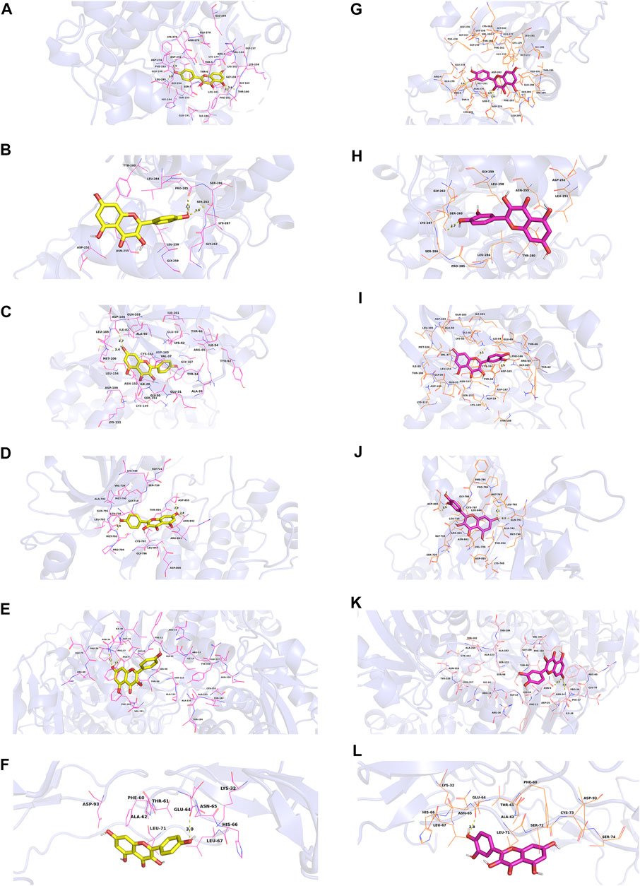 Frontiers | An integrative approach to uncover the components, mechanisms,  and functions of traditional Chinese medicine prescriptions on male  infertility