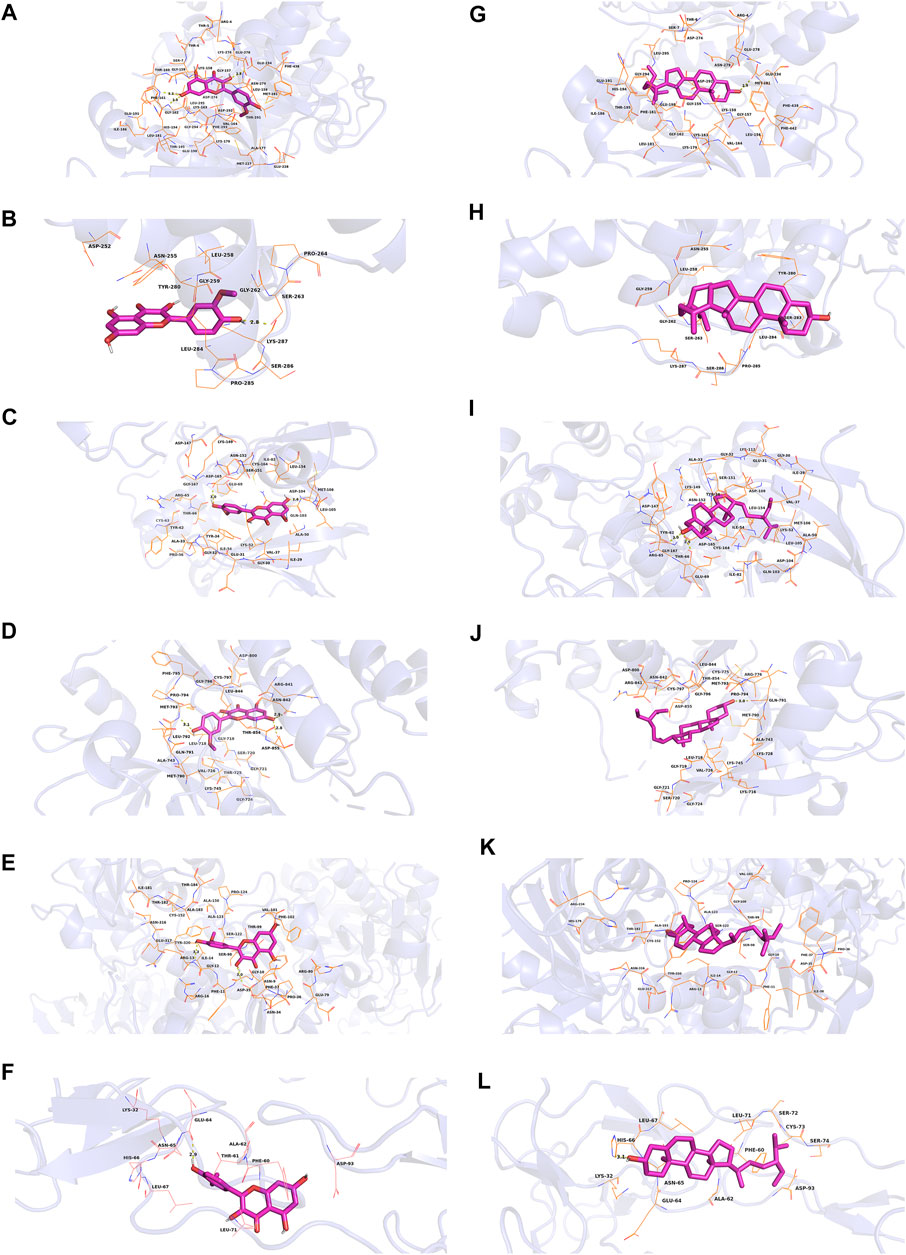 Frontiers | An integrative approach to uncover the components, mechanisms,  and functions of traditional Chinese medicine prescriptions on male  infertility