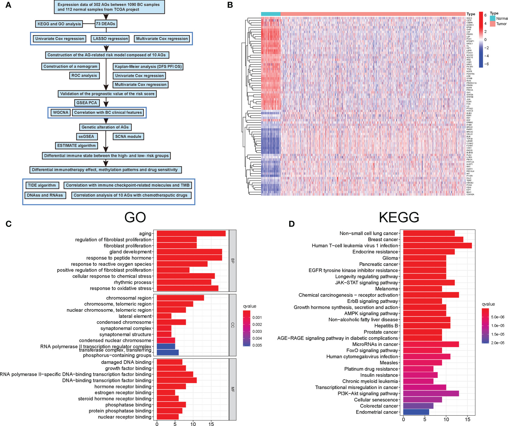 Frontiers | Identification Of An Aging-Related Gene Signature In ...