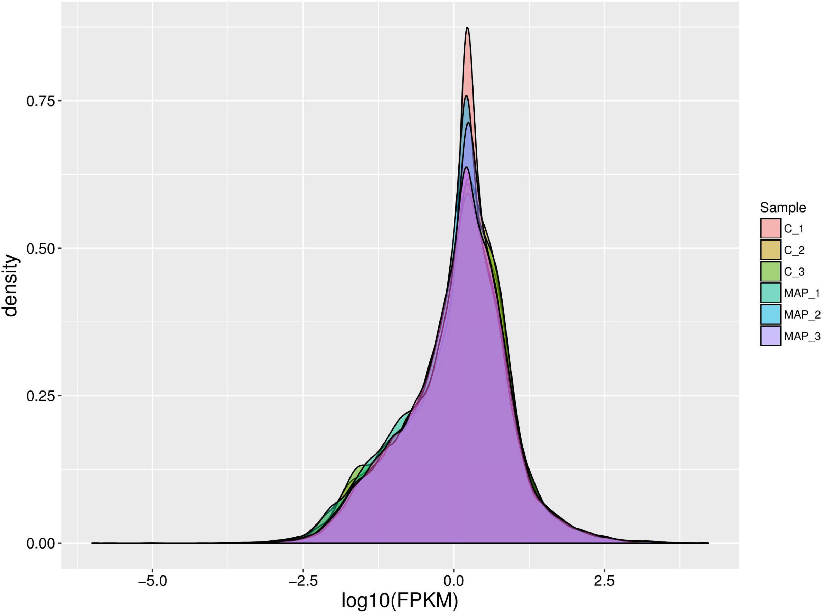 Frontiers | Analysis of mRNA and circRNA Expression Profiles of Bovine ...