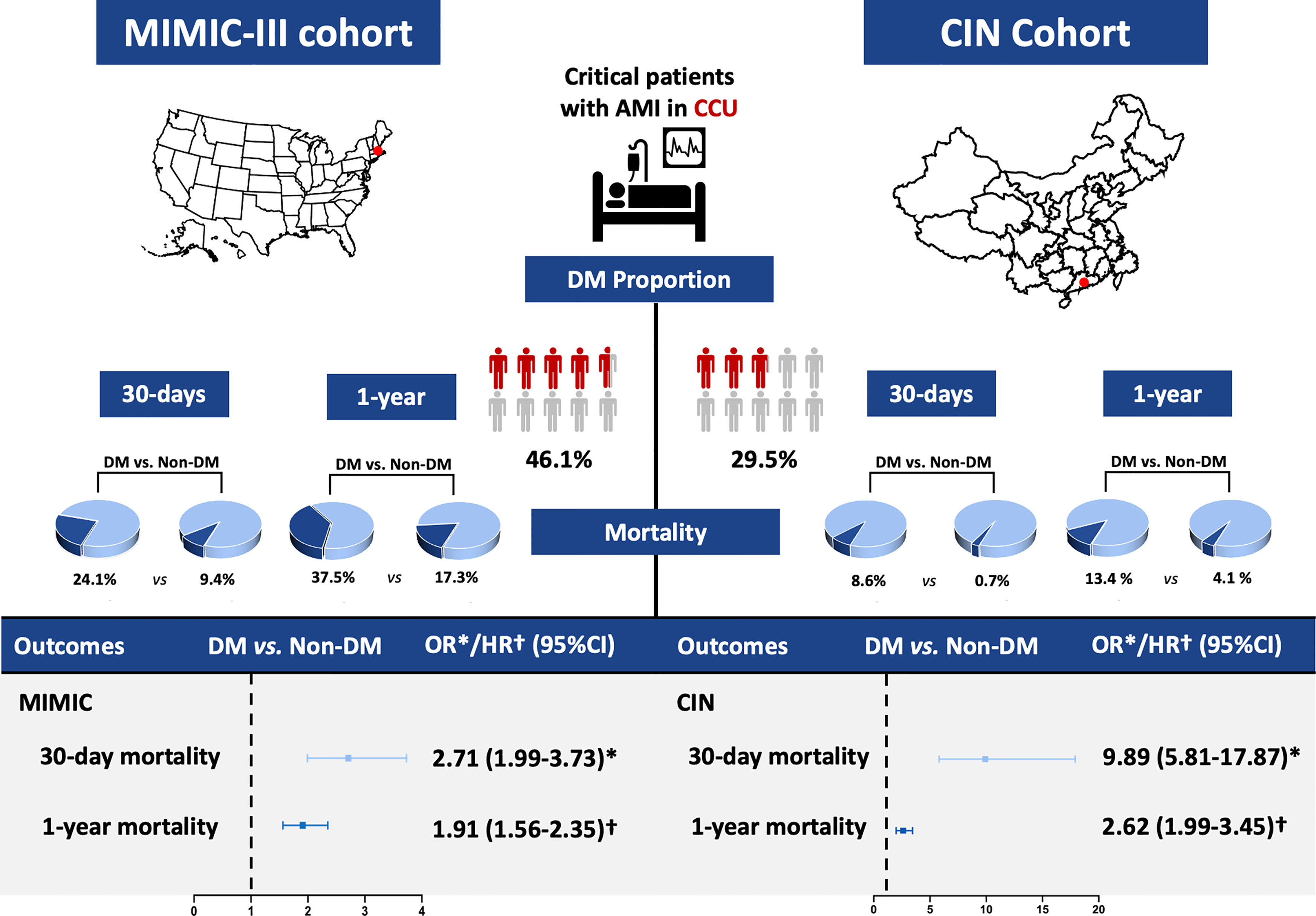 Frontiers  Association of Lipoprotein(a)-Associated Mortality and the  Estimated Glomerular Filtration Rate Level in Patients Undergoing Coronary  Angiography: A 51,500 Cohort Study