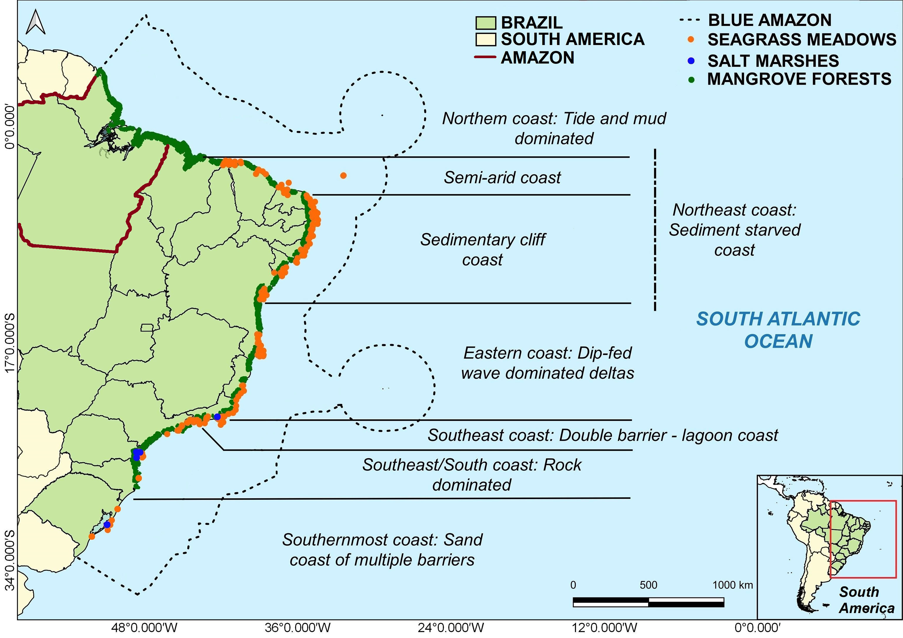 Hidden destruction of older forests threatens Brazil's Atlantic Forest and  challenges restoration programs
