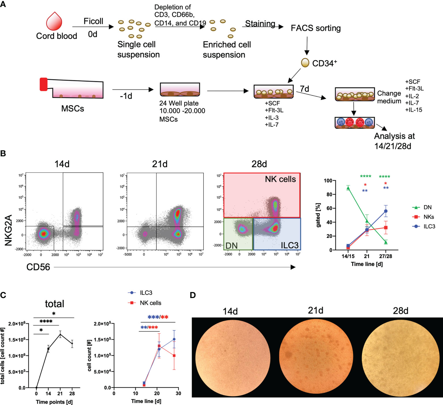 Frontiers | efficient in vitro generation of il-22-secreting ilc3 from