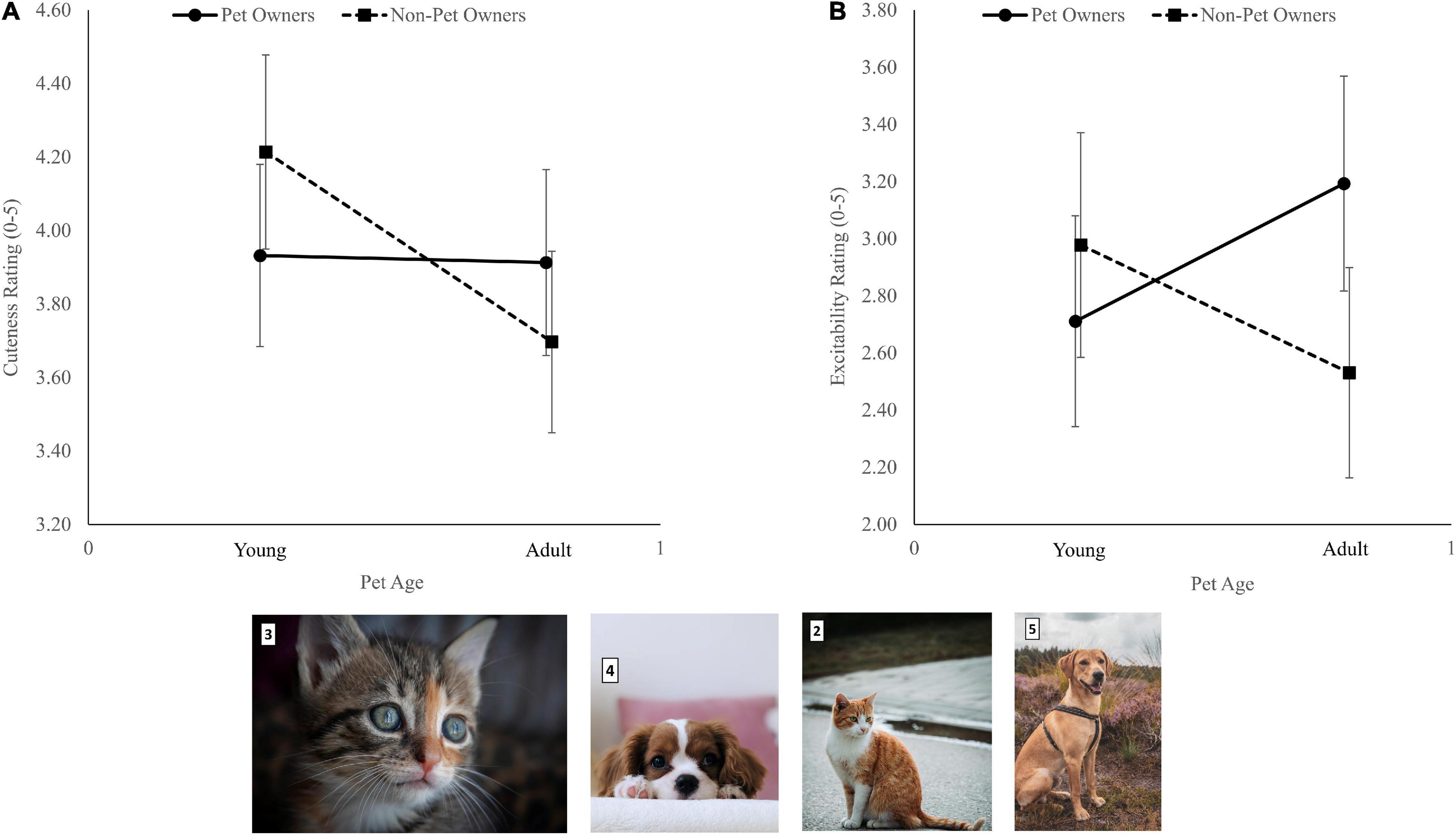 Frontiers | Viewing Cute Images Does Not Affect Performance of ...