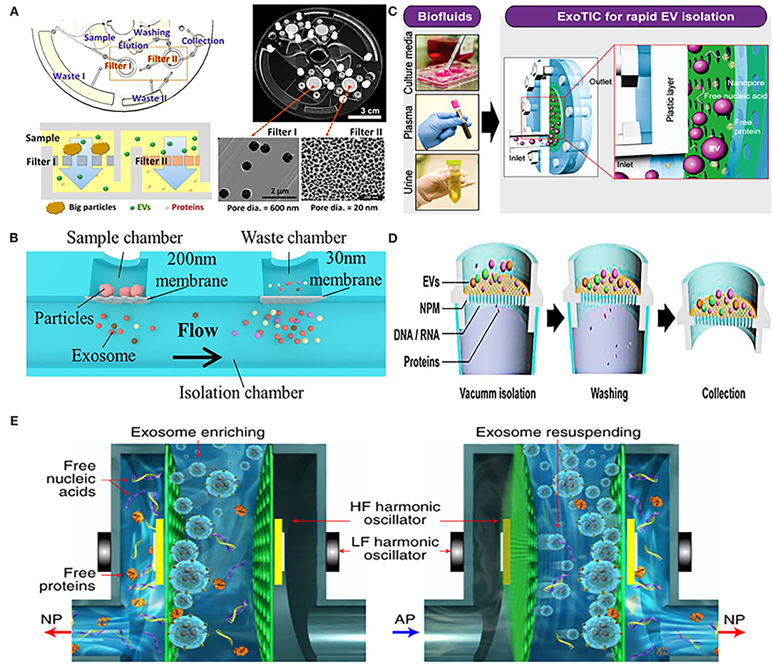 Frontiers Nanomaterials Based Urinary Extracellular Vesicles