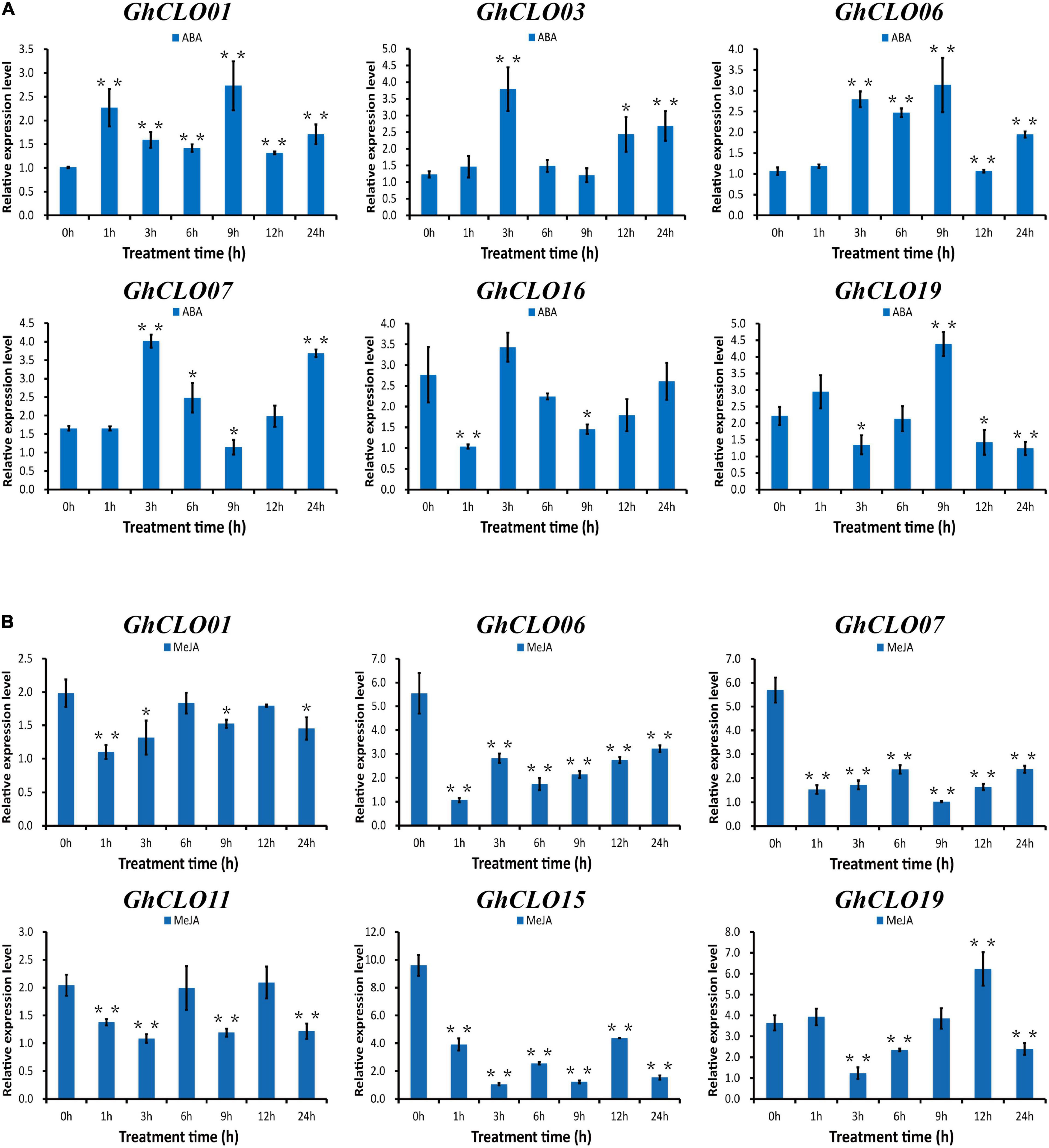 Frontiers  Evolution and Stress Responses of CLO Genes and Potential  Function of the GhCLO06 Gene in Salt Resistance of Cotton