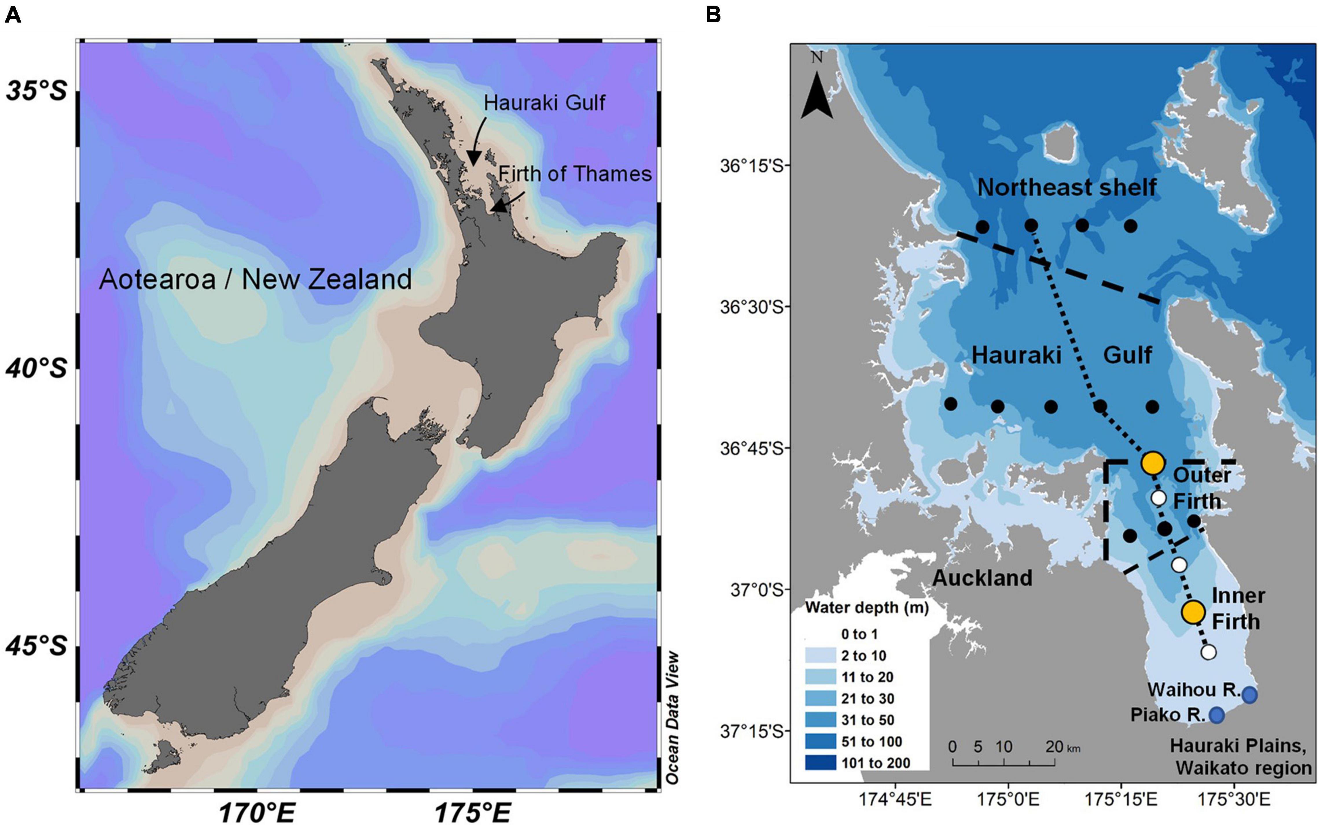 Frontiers | Attributing Controlling Factors of Acidification and