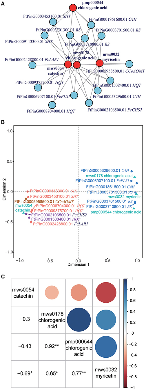 Frontiers Integrated Transcriptomics And Widely Targeted Metabolomics Analyses Provide 3978