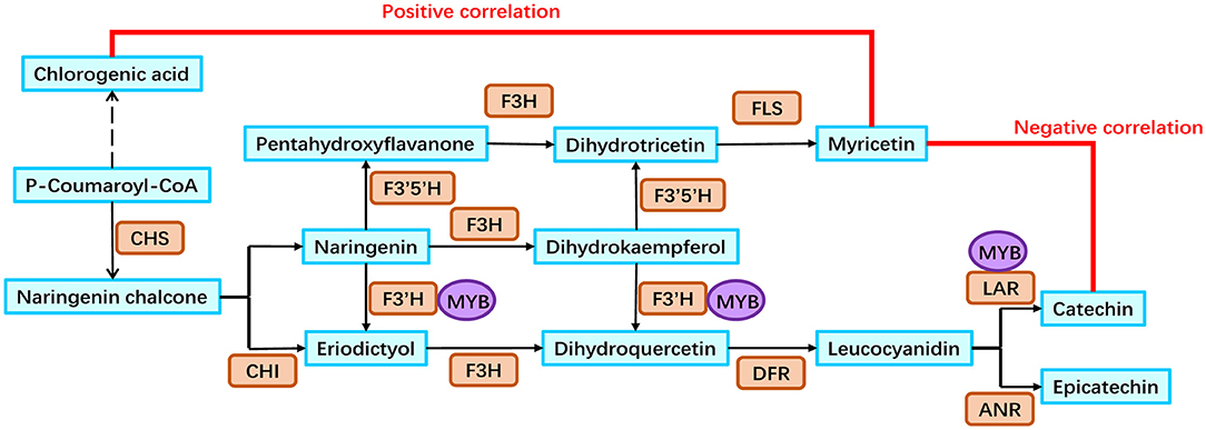 Frontiers Integrated Transcriptomics And Widely Targeted Metabolomics Analyses Provide 2709