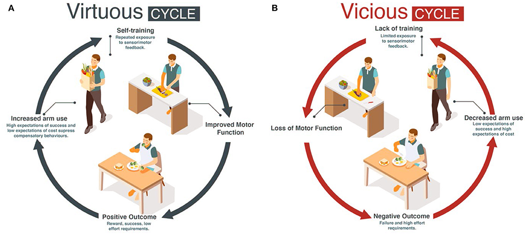 Frontiers Virtuous And Vicious Cycles Of Arm Use And Function Post stroke