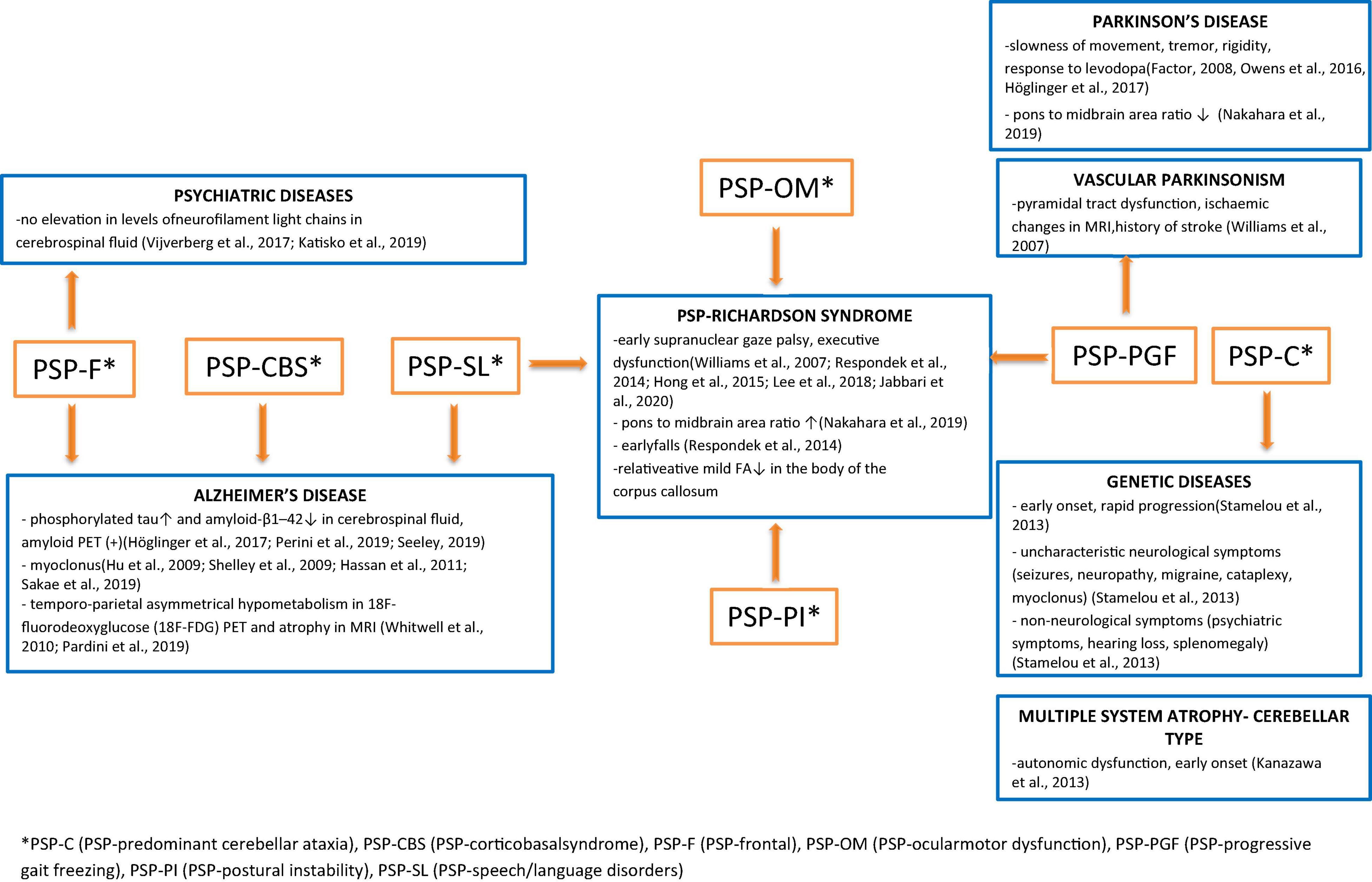 Frontiers Differential Diagnosis Of Rare Subtypes Of Progressive 