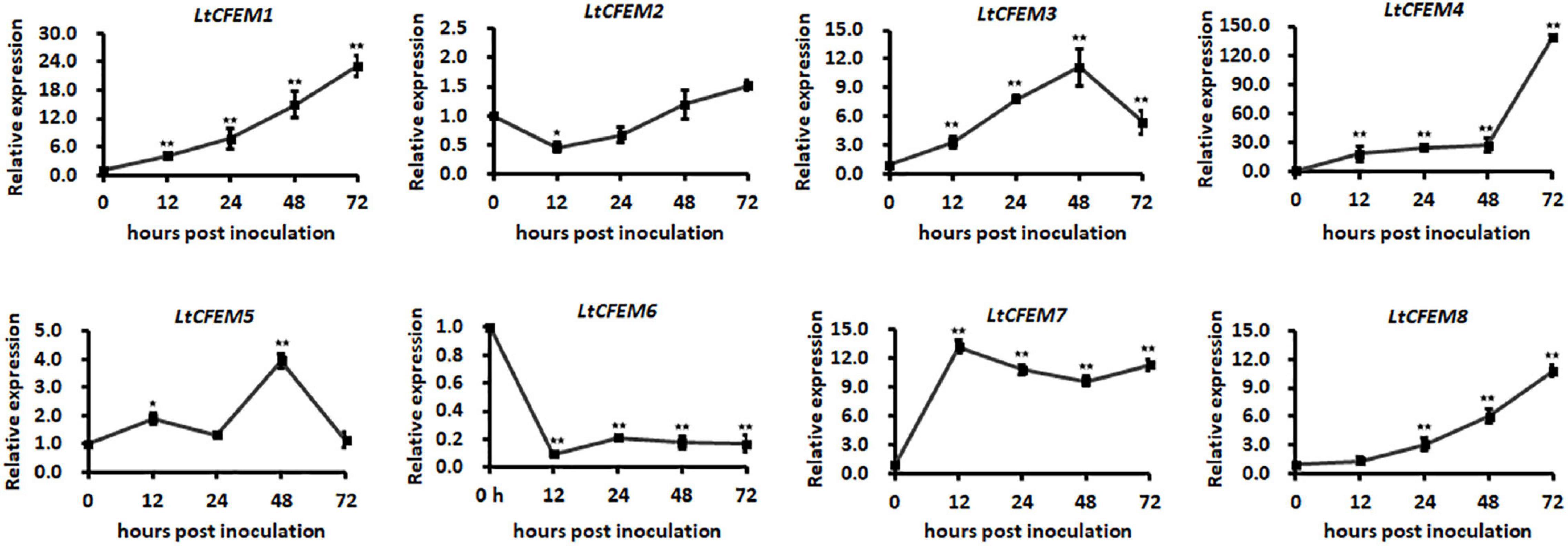 Frontiers | Systemic Identification and Functional Characterization of ...