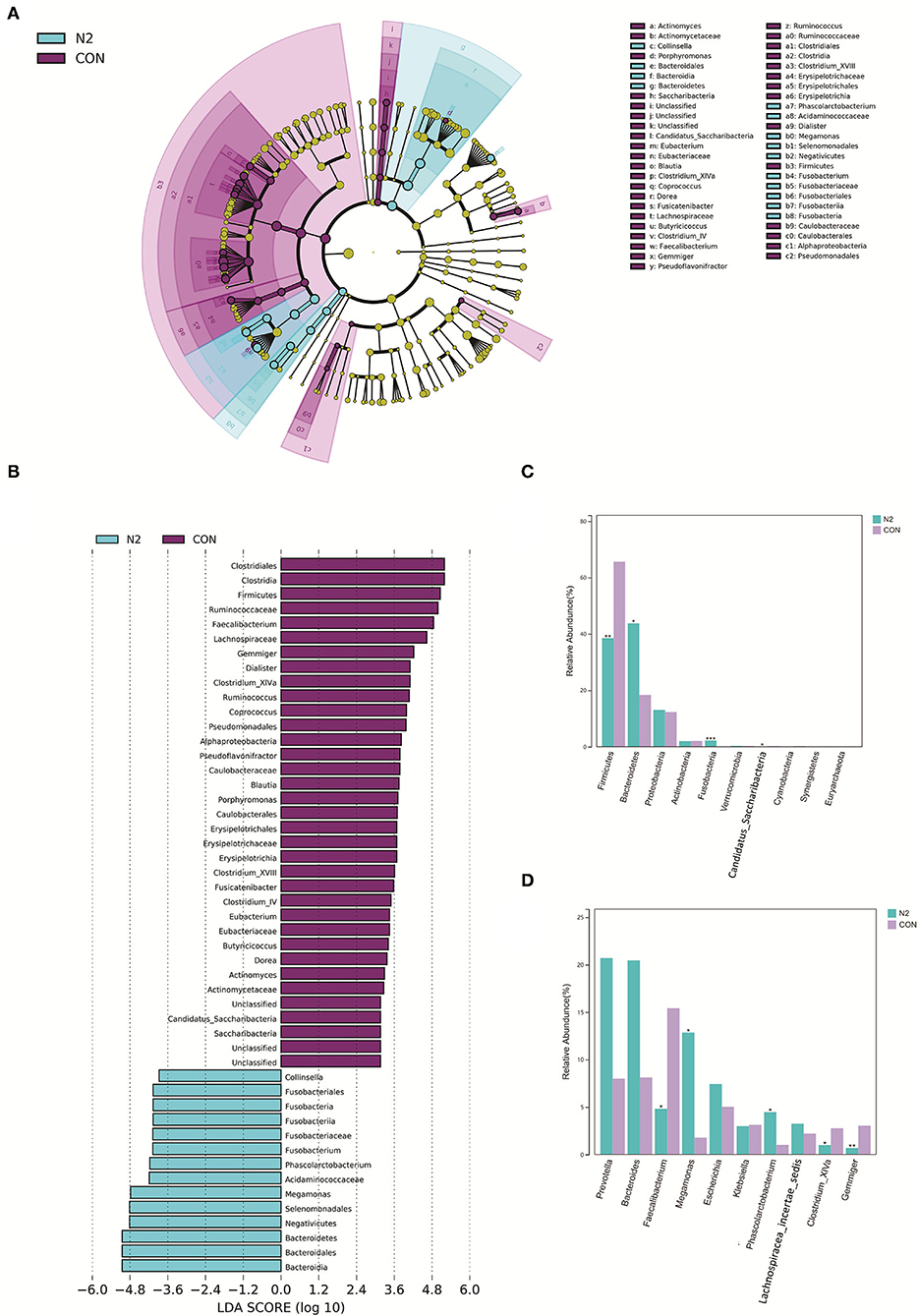 Frontiers | Alterations In The Gut Microbiota And Hepatitis-B-Virus ...