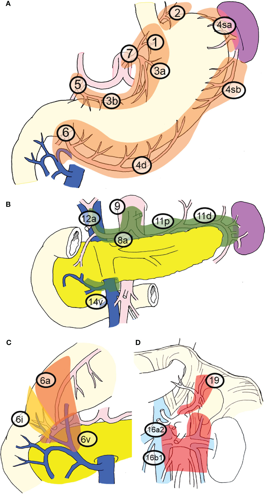 Frontiers Significance Of Lymph Node Metastasis In The Treatment Of 