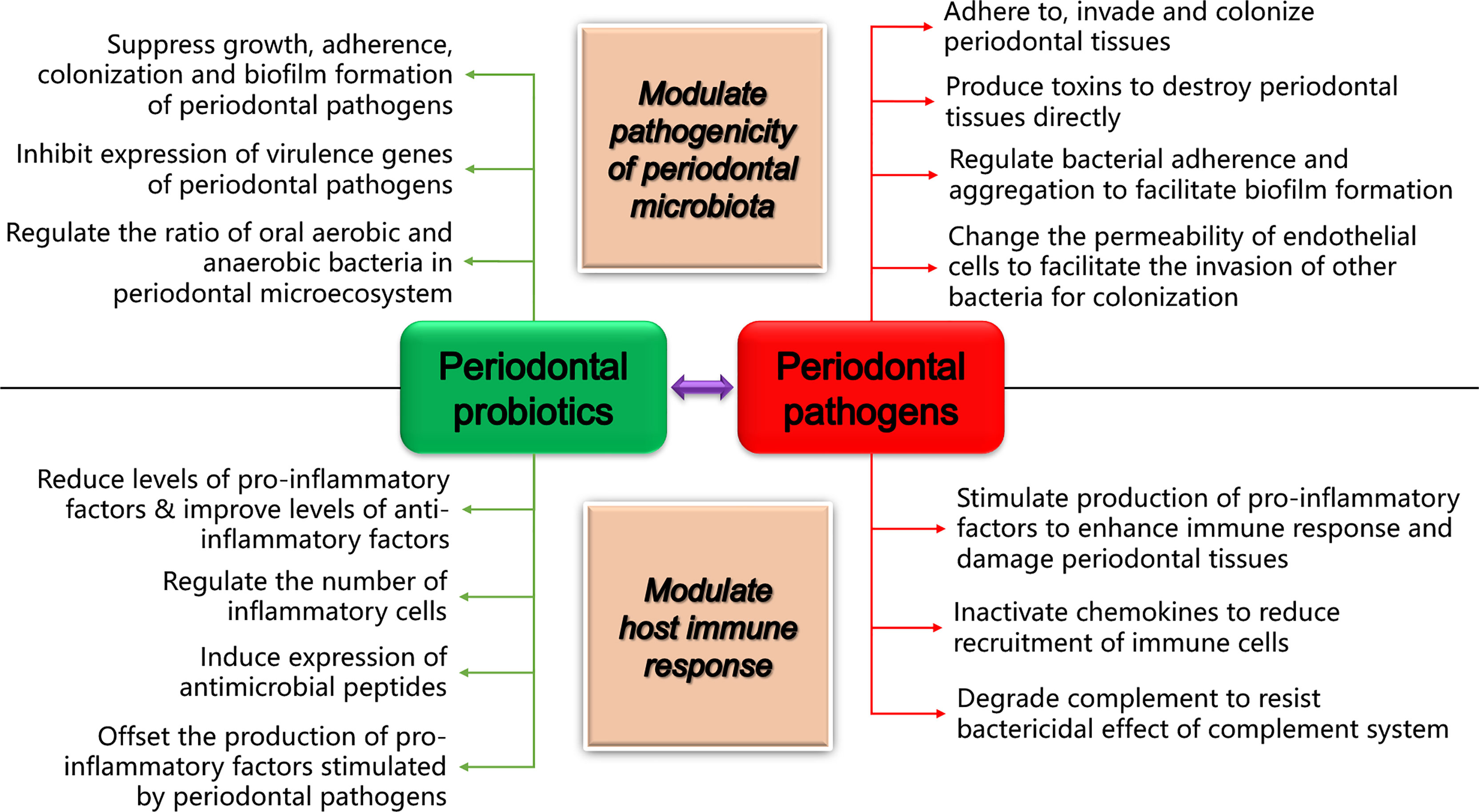 Frontiers Probiotic Species In The Management Of Periodontal Diseases 