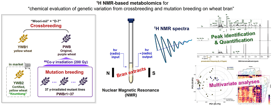 how to know the mhz of nmr spectra on mestrenova on mac