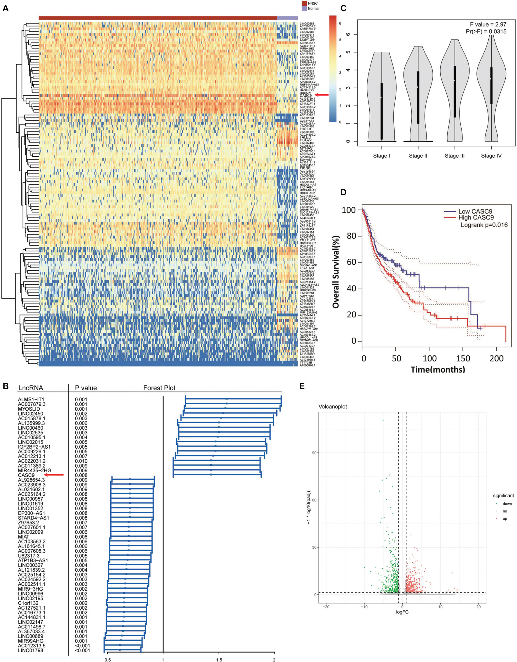 Frontiers | Long Non-Coding RNA Cancer Susceptibility Candidate 9 