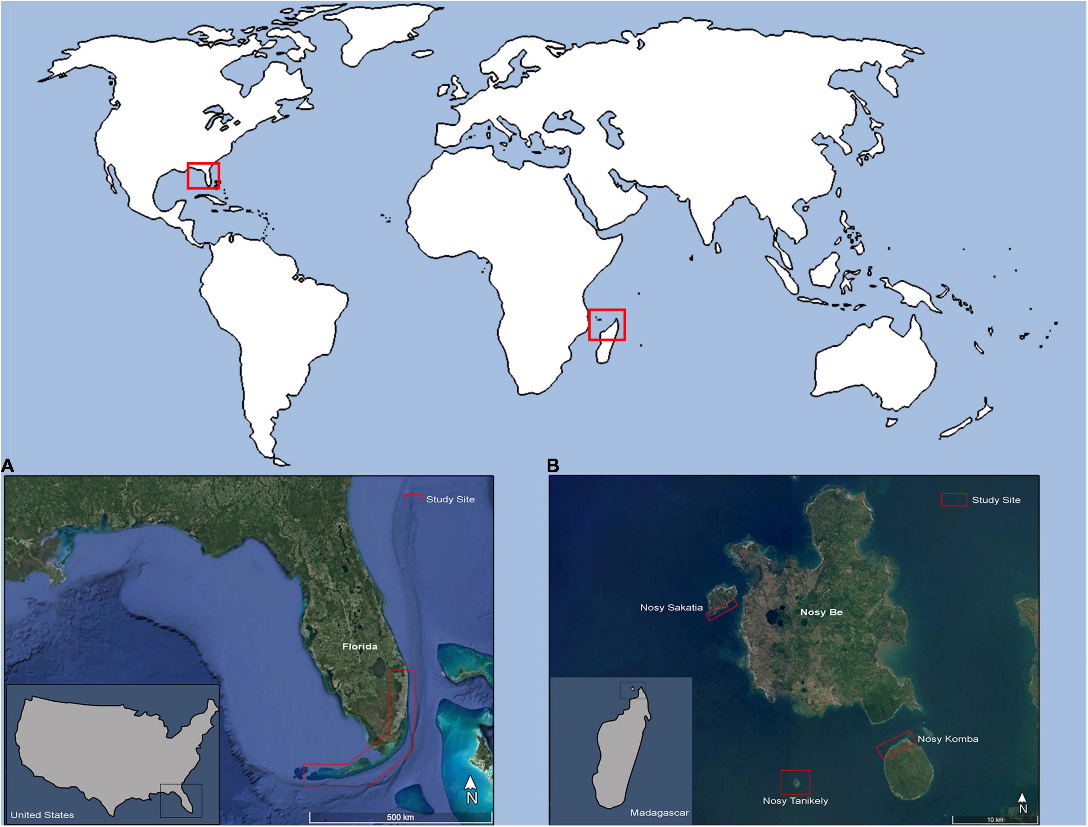 My Major Map Fiu Frontiers | Evidence For Host Selectivity And Specialization By Epizoic  Chelonibia Barnacles Between Hawksbill And Green Sea Turtles | Ecology And  Evolution