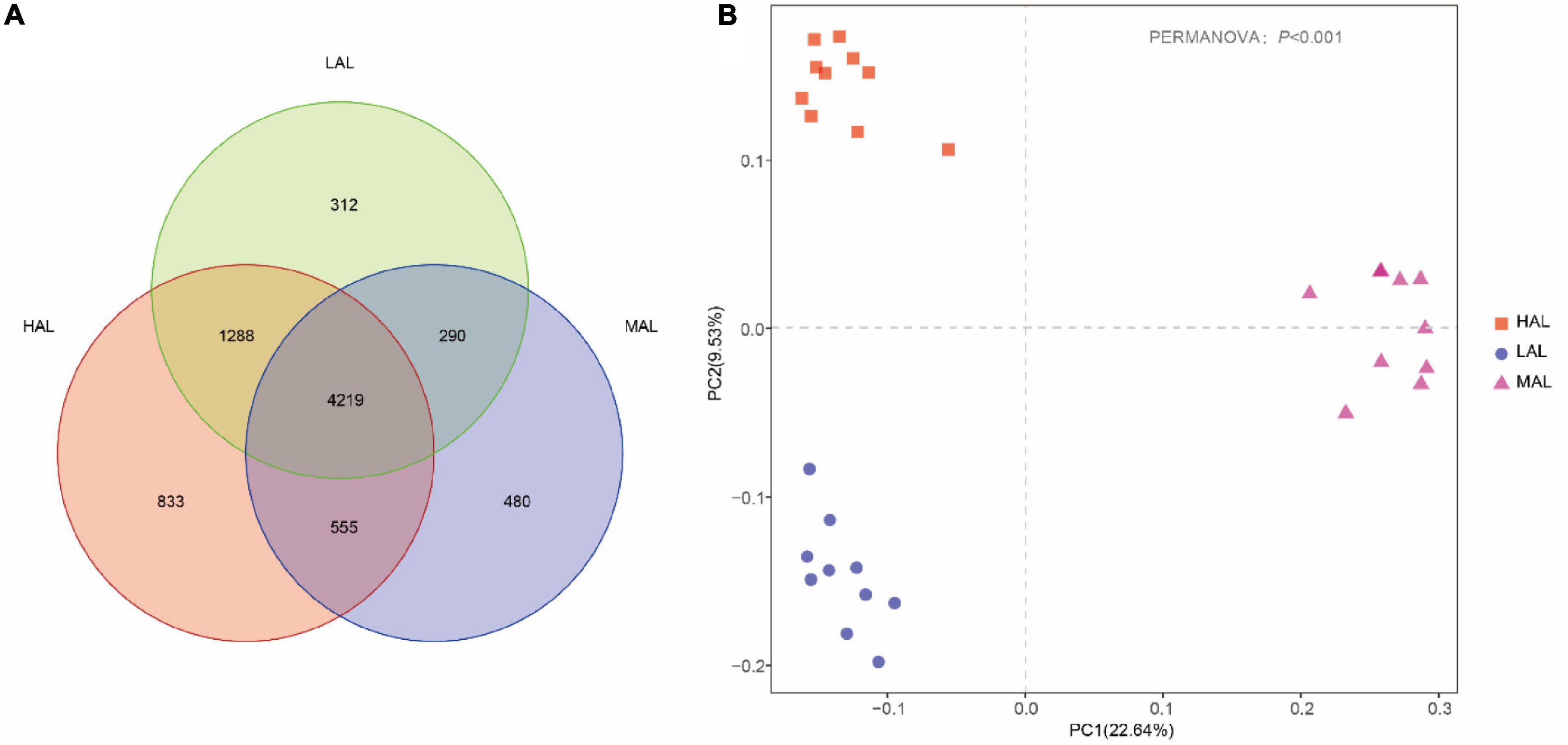 Frontiers | Comparison of Rumen Fermentation Parameters and Microbiota ...