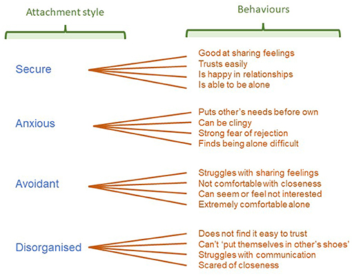 图2 -儿童发展的依恋类型会影响他们成年后的关系行为。