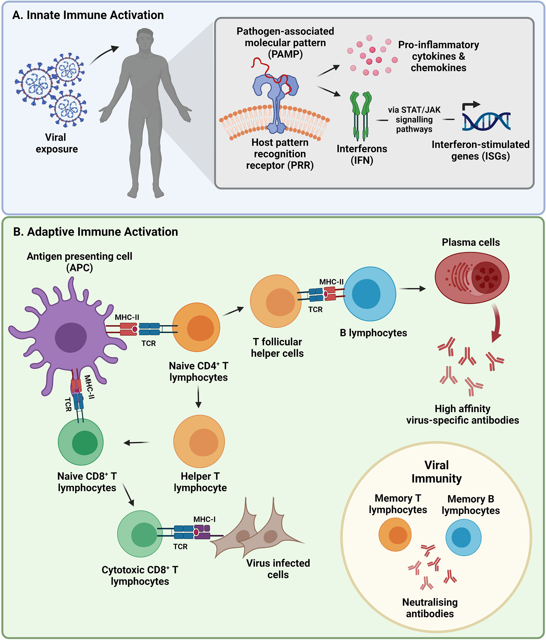 wandelen bitter Klacht Frontiers | SARS-CoV-2 Variants, Vaccines, and Host Immunity