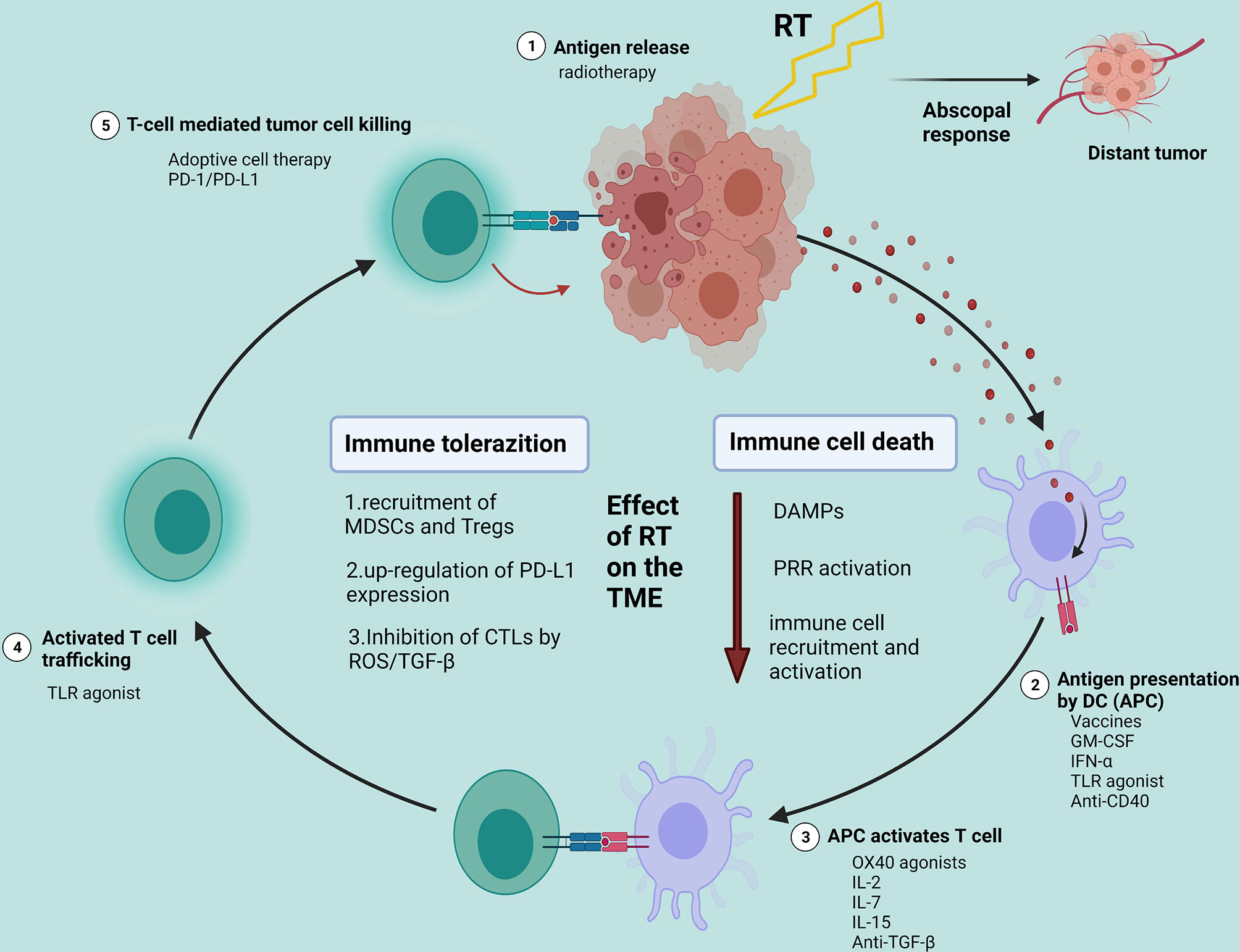 Frontiers Effective Combinations Of Immunotherapy And Radiotherapy