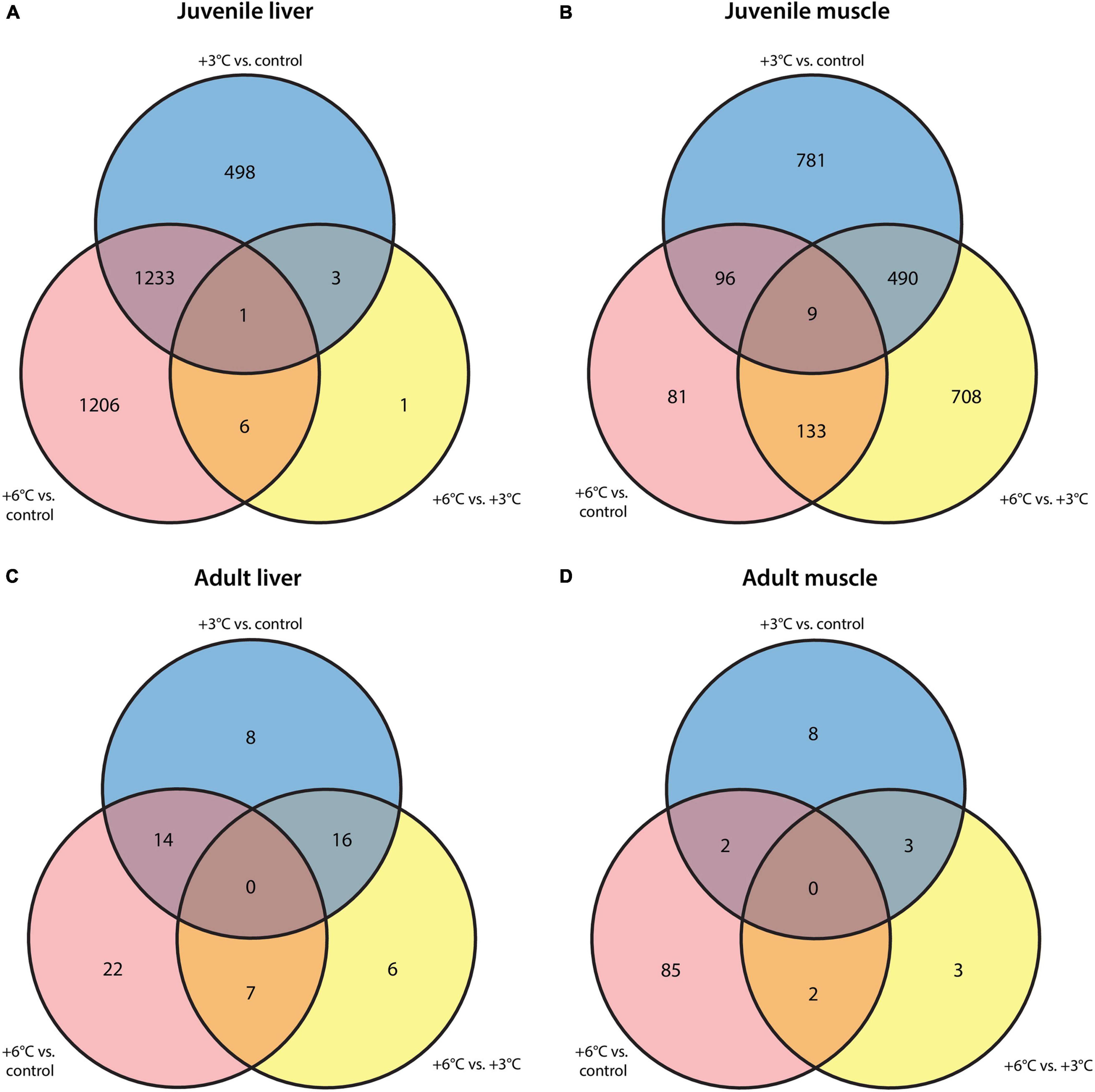 Frontiers Ocean Warming Leads To Increases In Aerobic Demand And Changes To Gene Expression In The Pinfish Lagodon Rhomboides