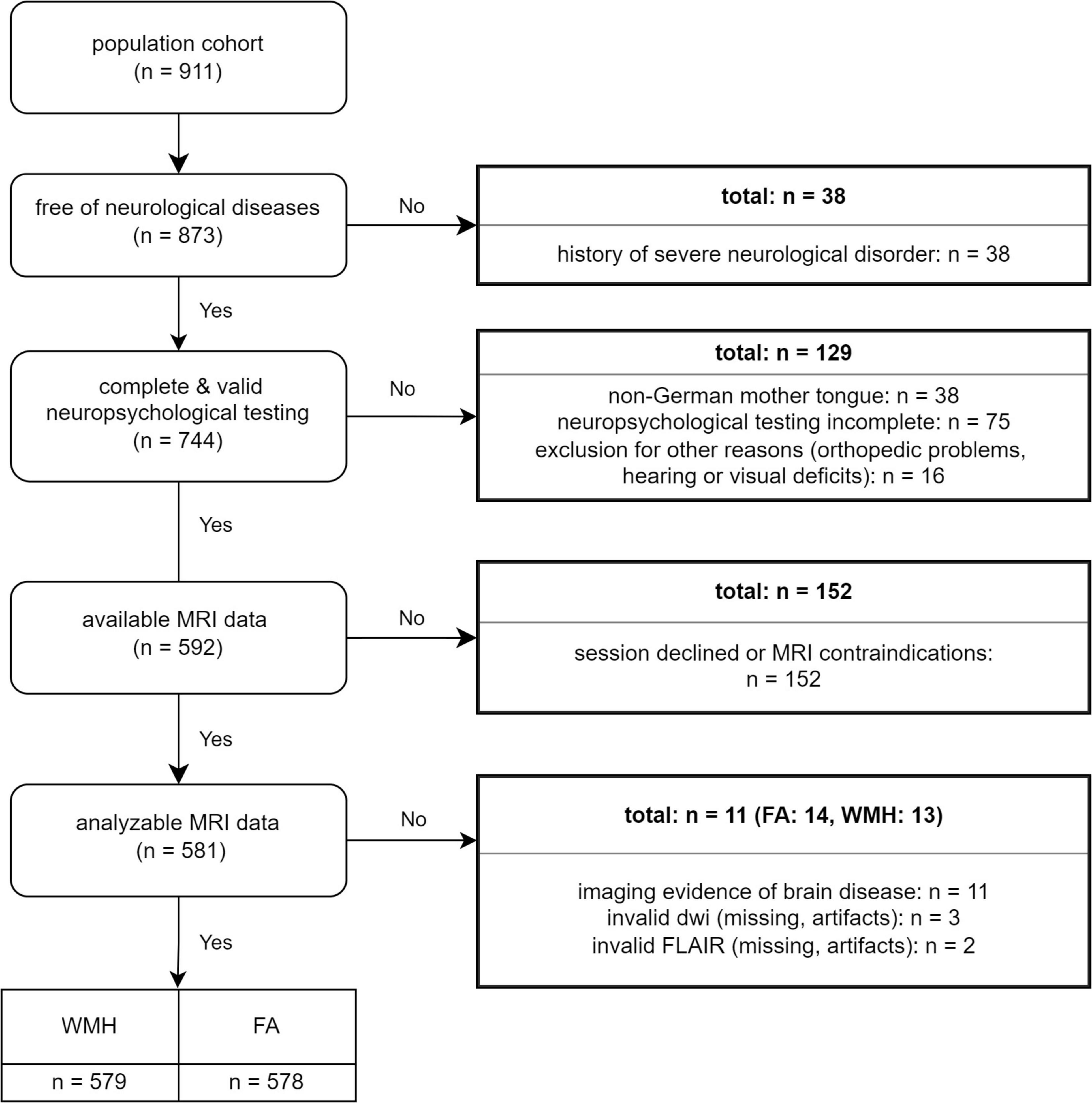 Frontiers Sex Specific Causes and Consequences of White Matter