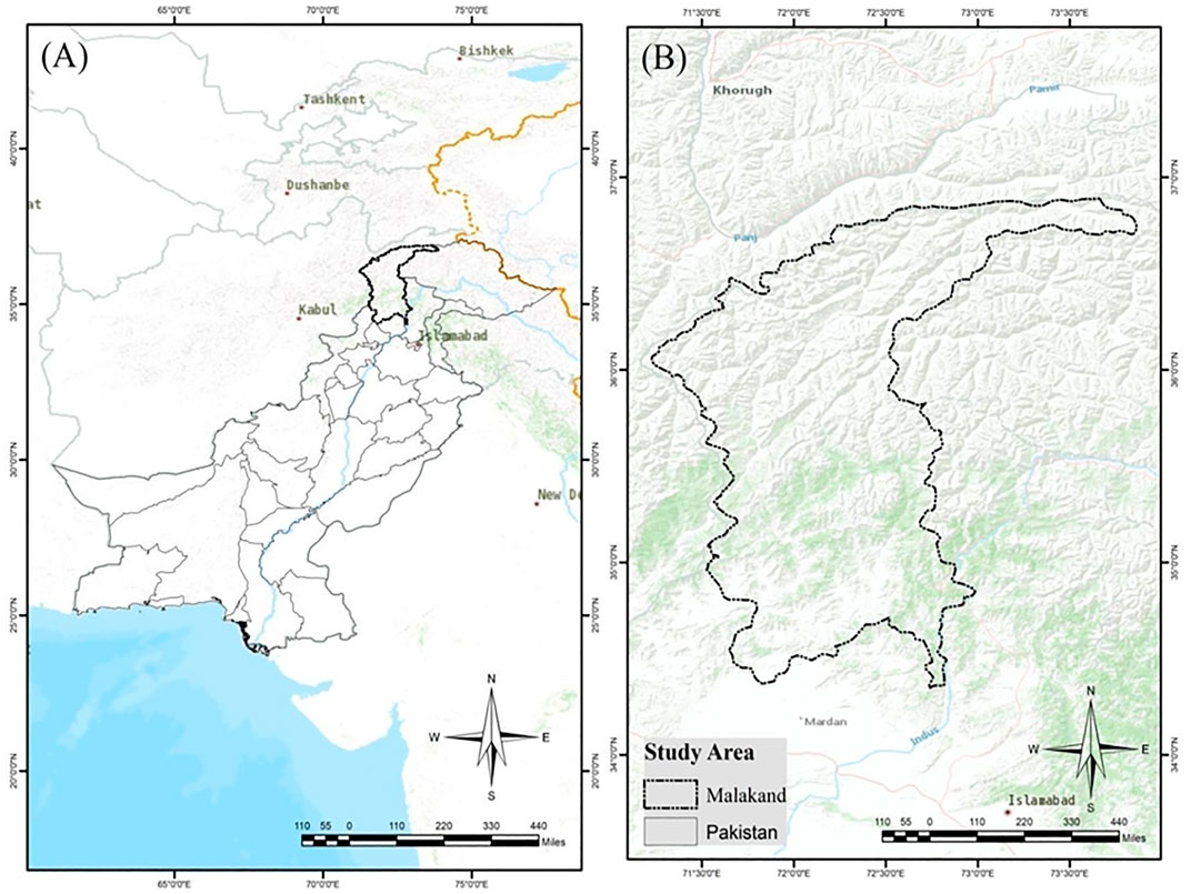 deforestation in pakistan research paper