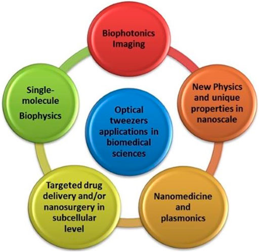 Frontiers | Advanced Biophotonics Techniques: The Role Of Optical ...