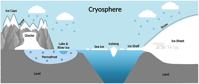 图1——各种形式的雪和冰组成地球冰冻圈(图创建BioRender.com)。