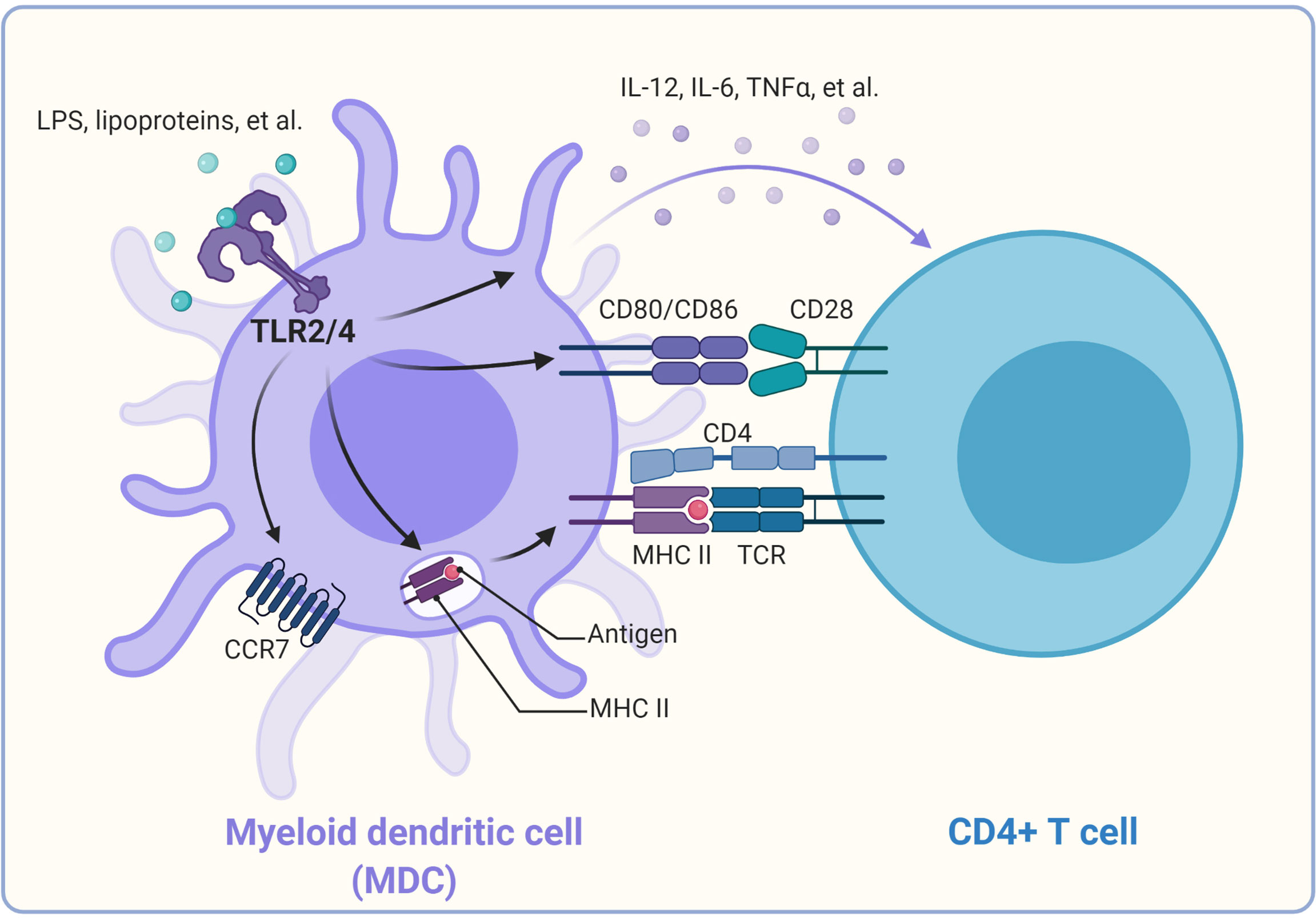 Frontiers | Toll-Like Receptor Signaling and Its Role in Cell-Mediated ...