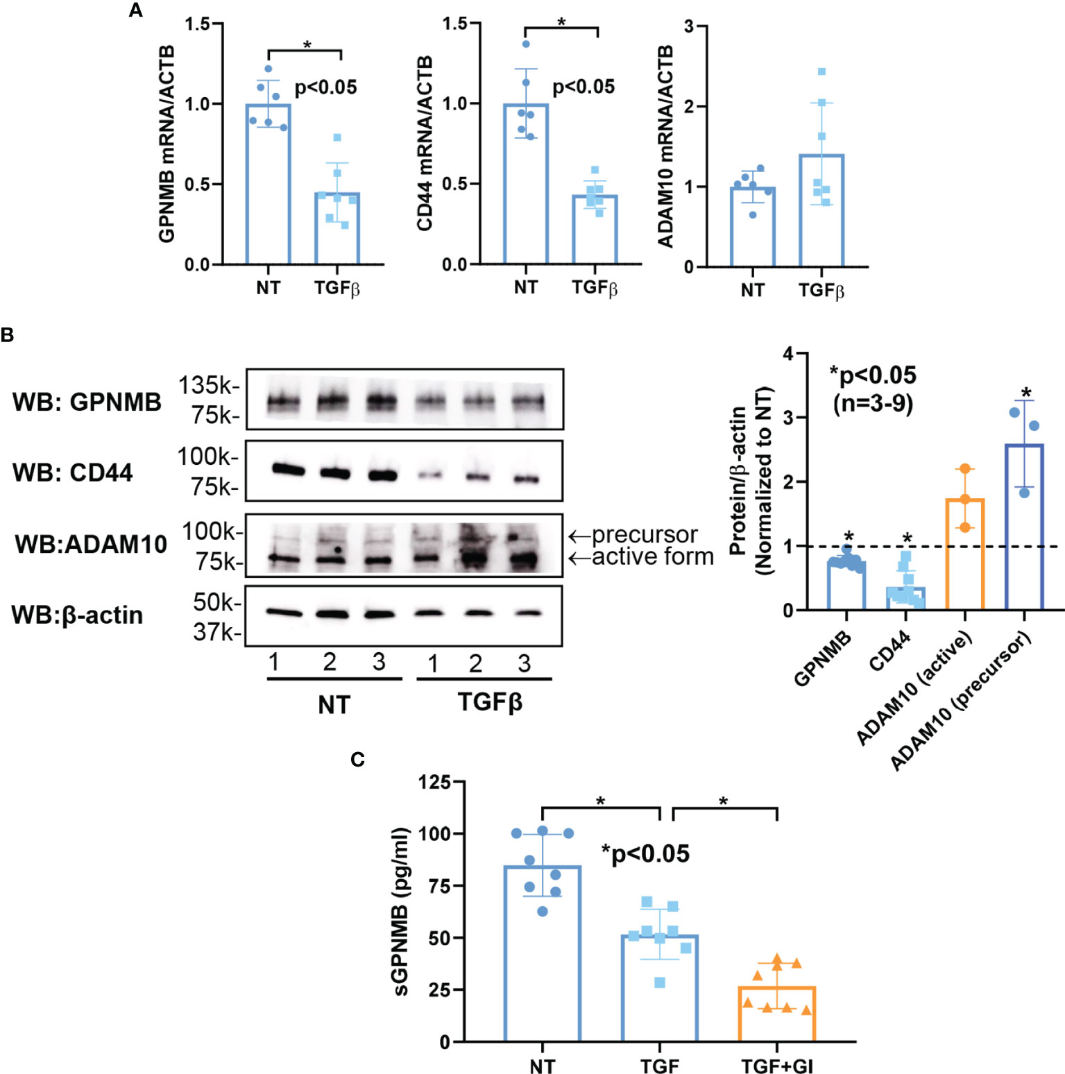 Frontiers | Functional Characterization Of Glycoprotein Nonmetastatic ...