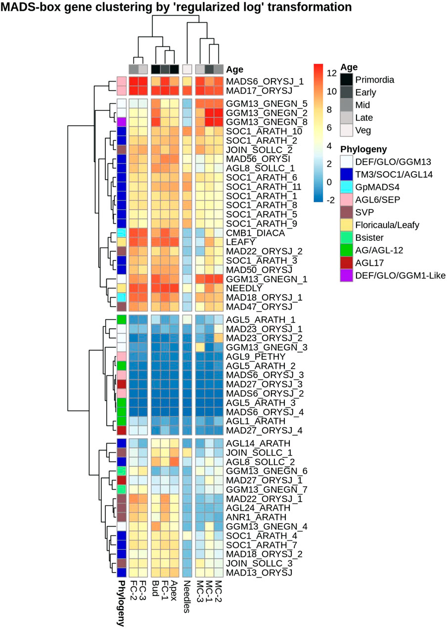 Frontiers Transcriptional Regulation of Pine Male and Female