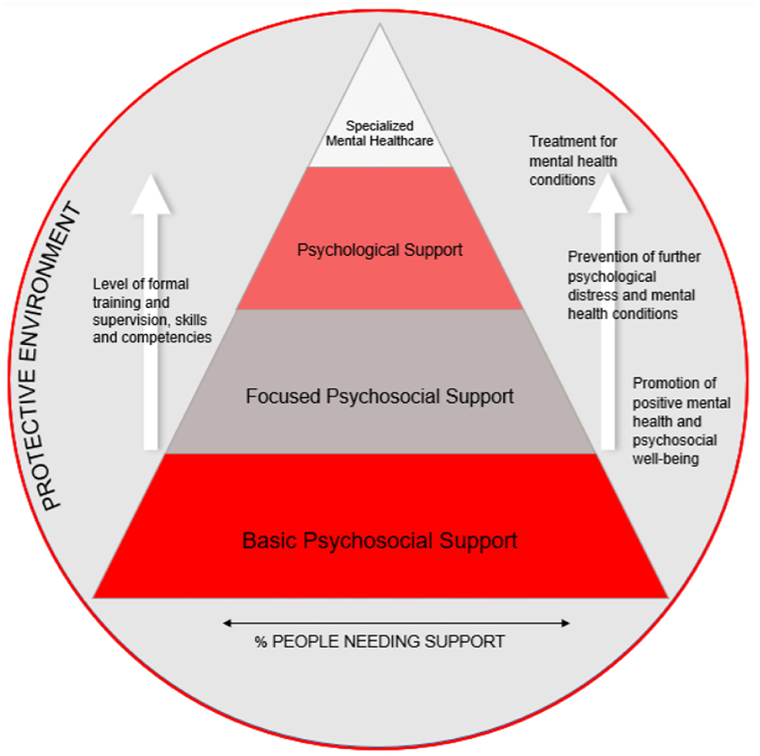 Frontiers Community Level Mental Health And Psychosocial Support 