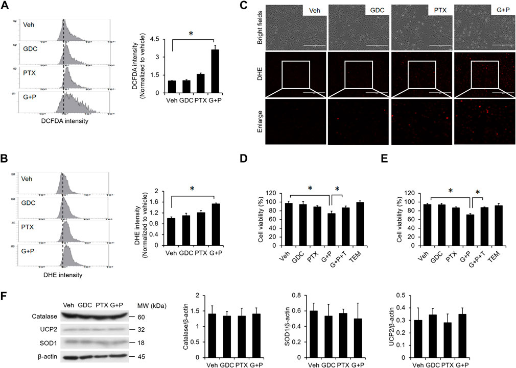 Frontiers | Hedgehog Suppresses Paclitaxel Sensitivity by Regulating ...