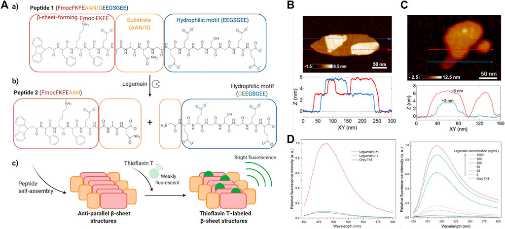 Frontiers Supramolecular Nanomedicines Of In Situ Self Assembling Peptides Chemistry