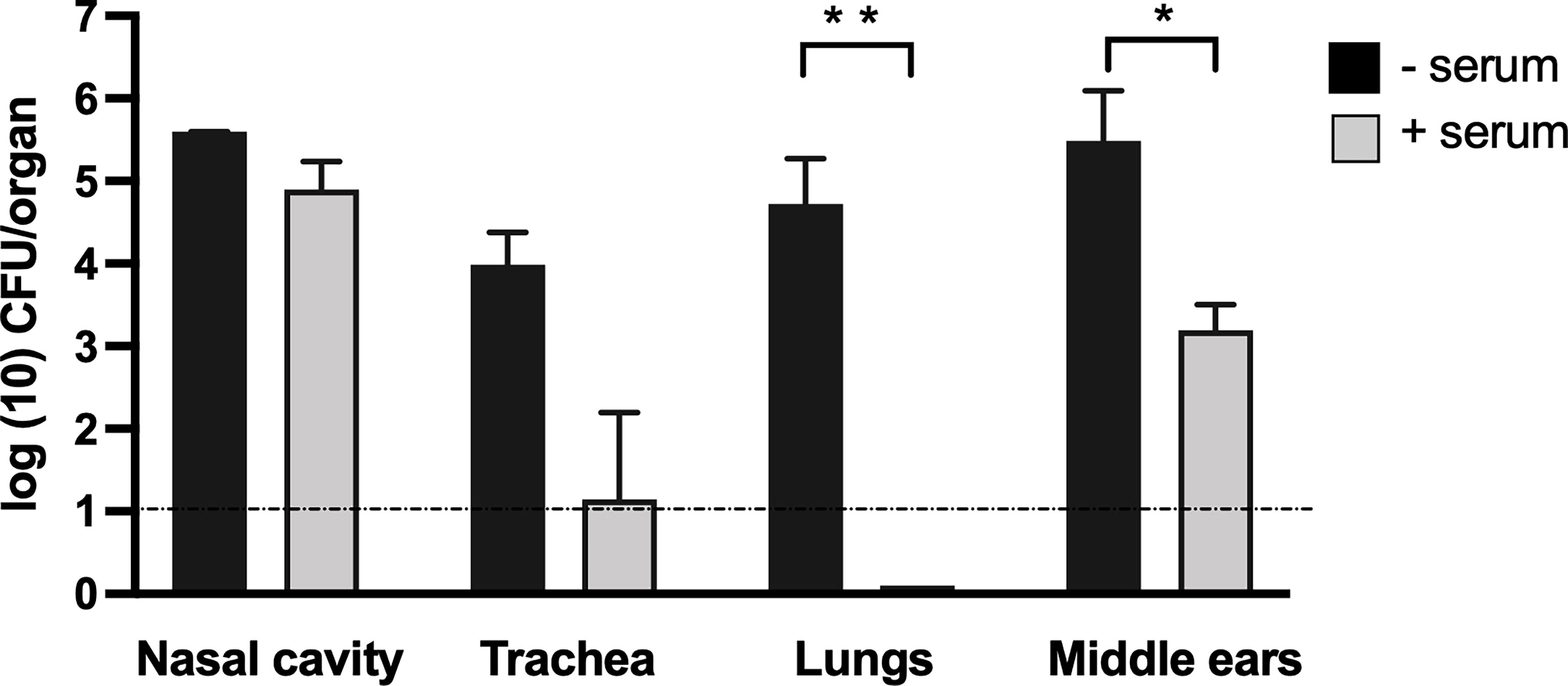 frontiers-probing-immune-mediated-clearance-of-acute-middle-ear