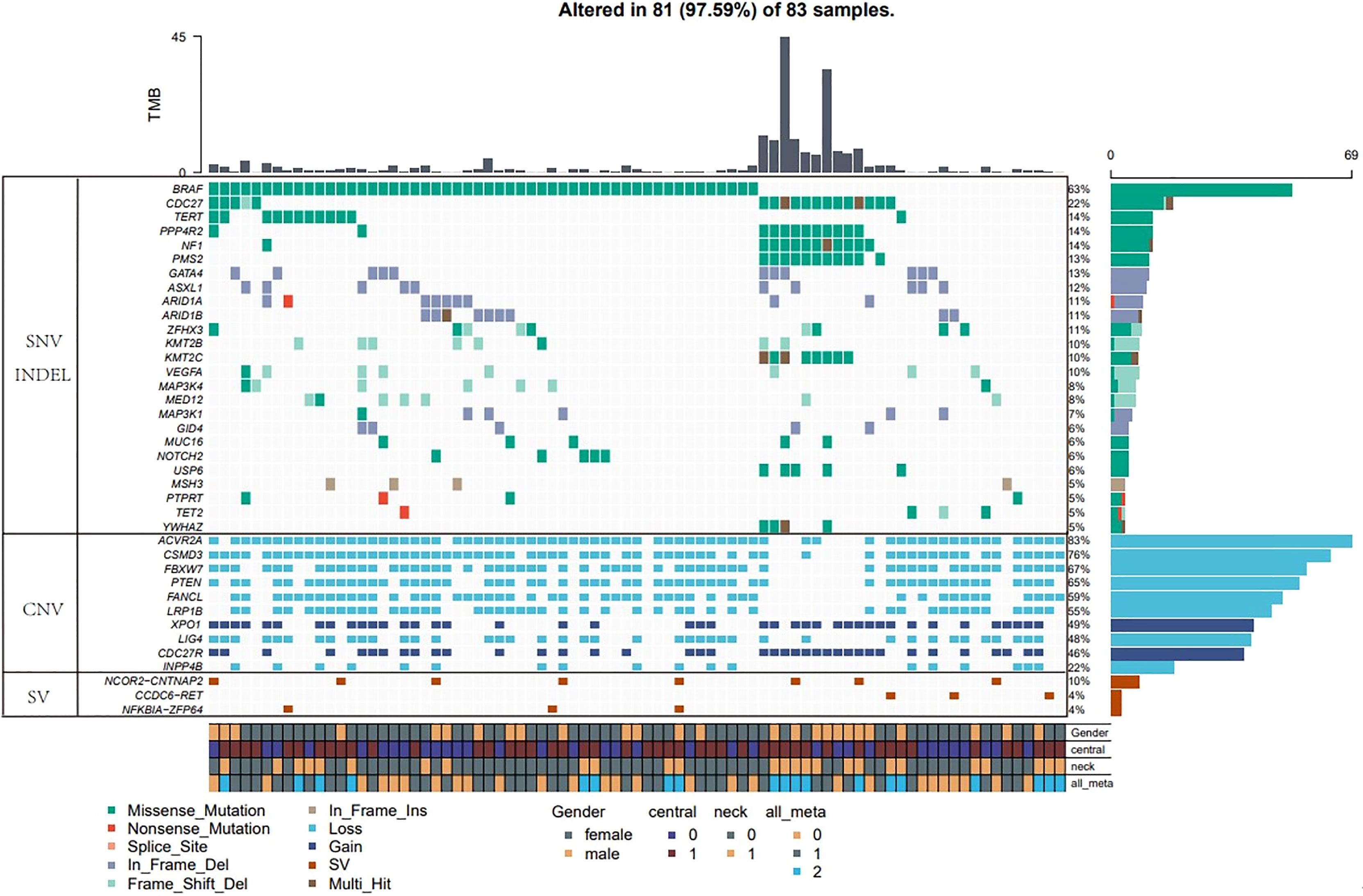 Frontiers | Genotypes Of Papillary Thyroid Carcinoma With High Lateral ...