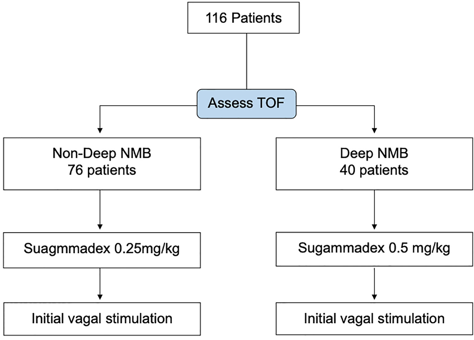 Frontiers A Surgeon Centered Neuromuscular Block Protocol Improving 