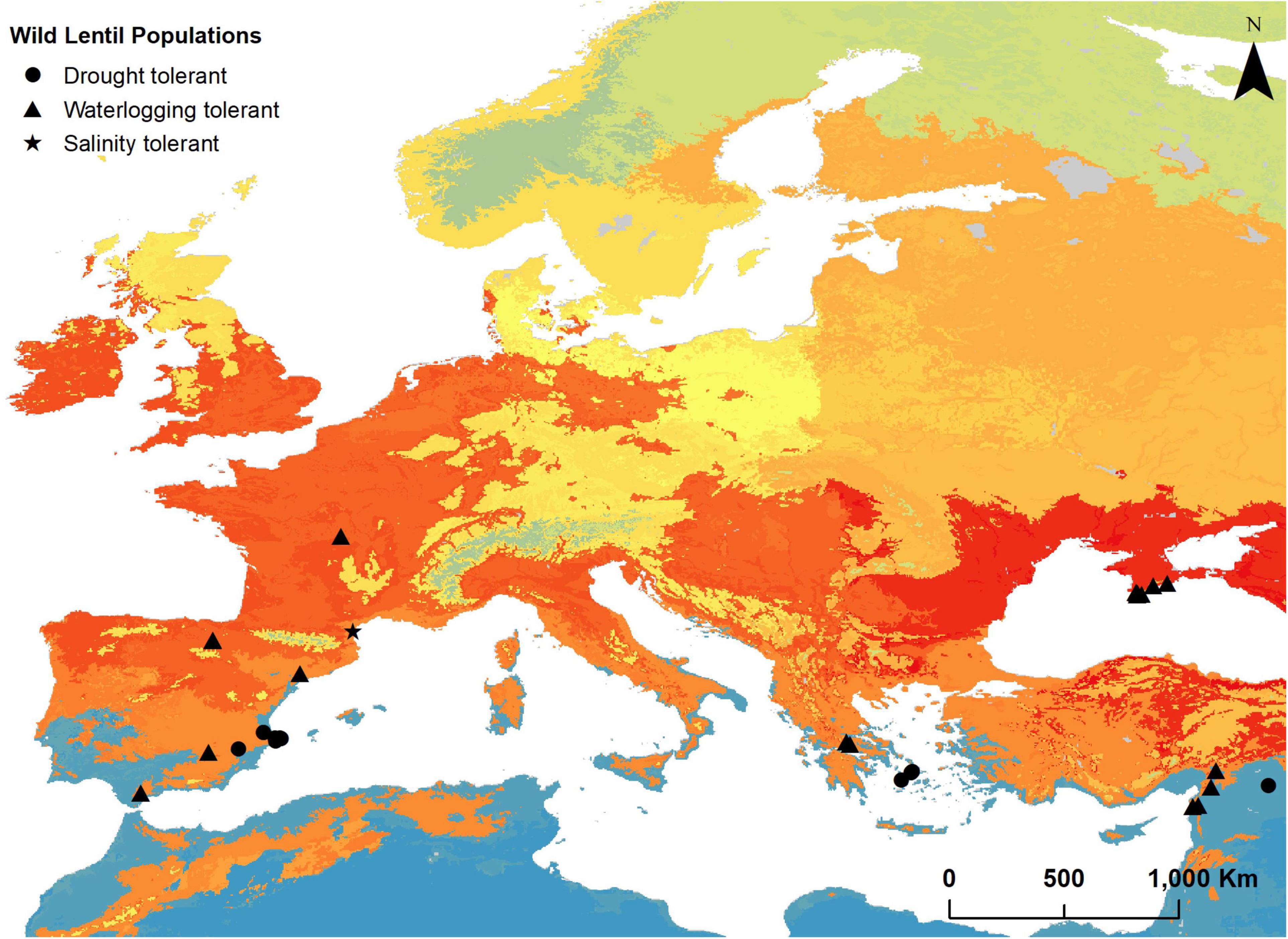 geothermal energy map europe
