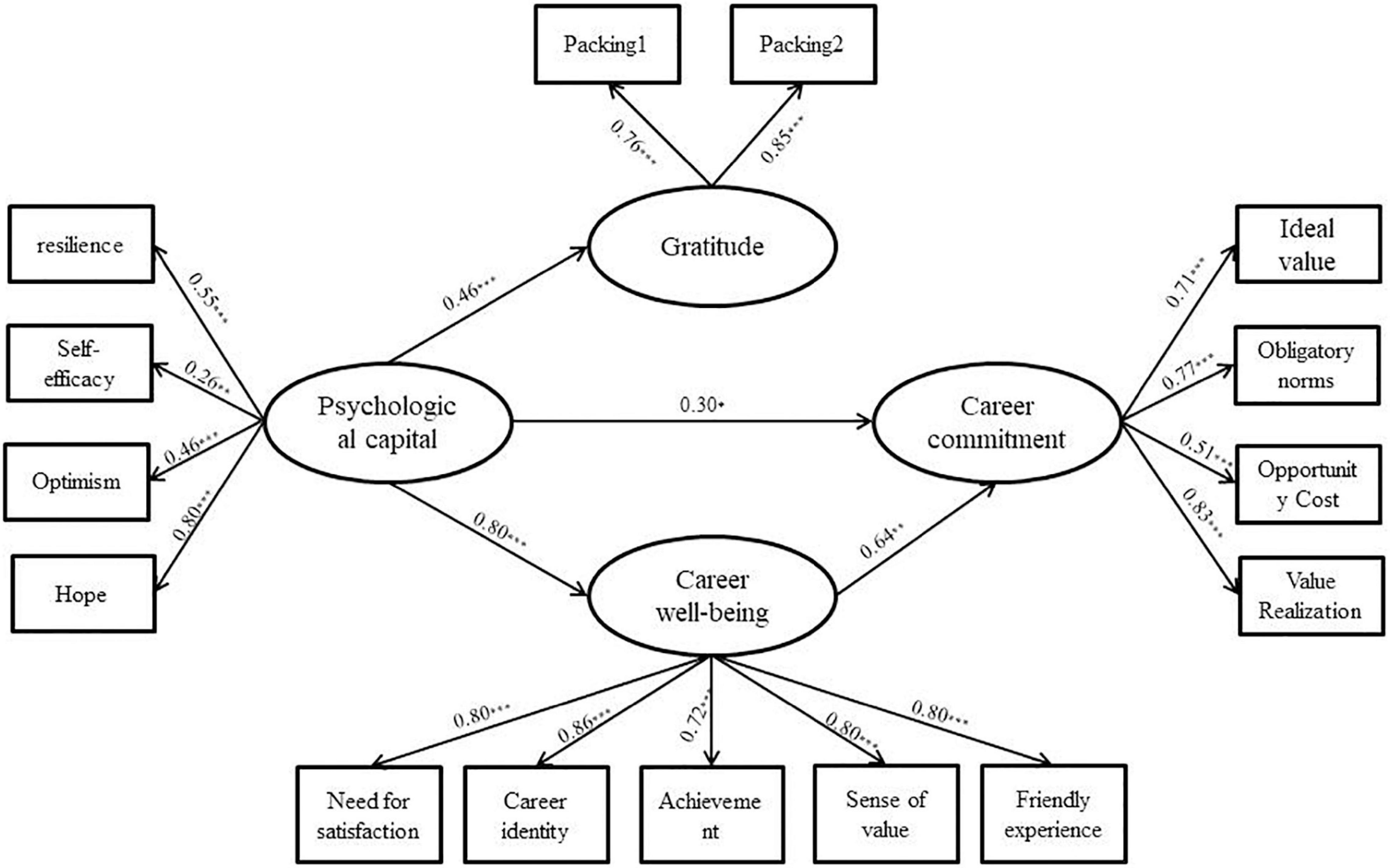 Frontiers | The Relationship Between Psychological Capital and Teacher ...