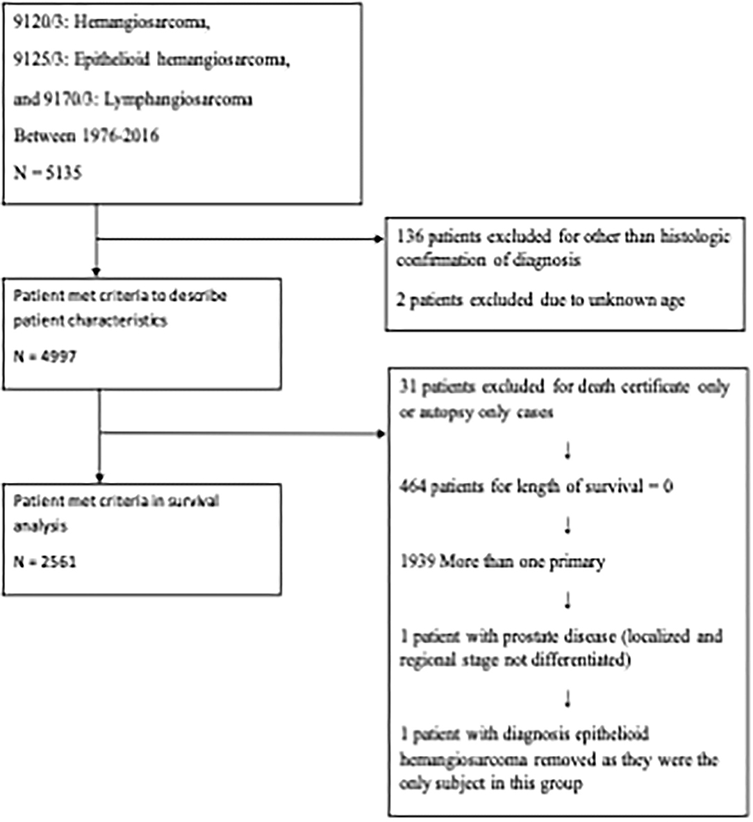 Frontiers | Outcomes of Interventions for Angiosarcoma