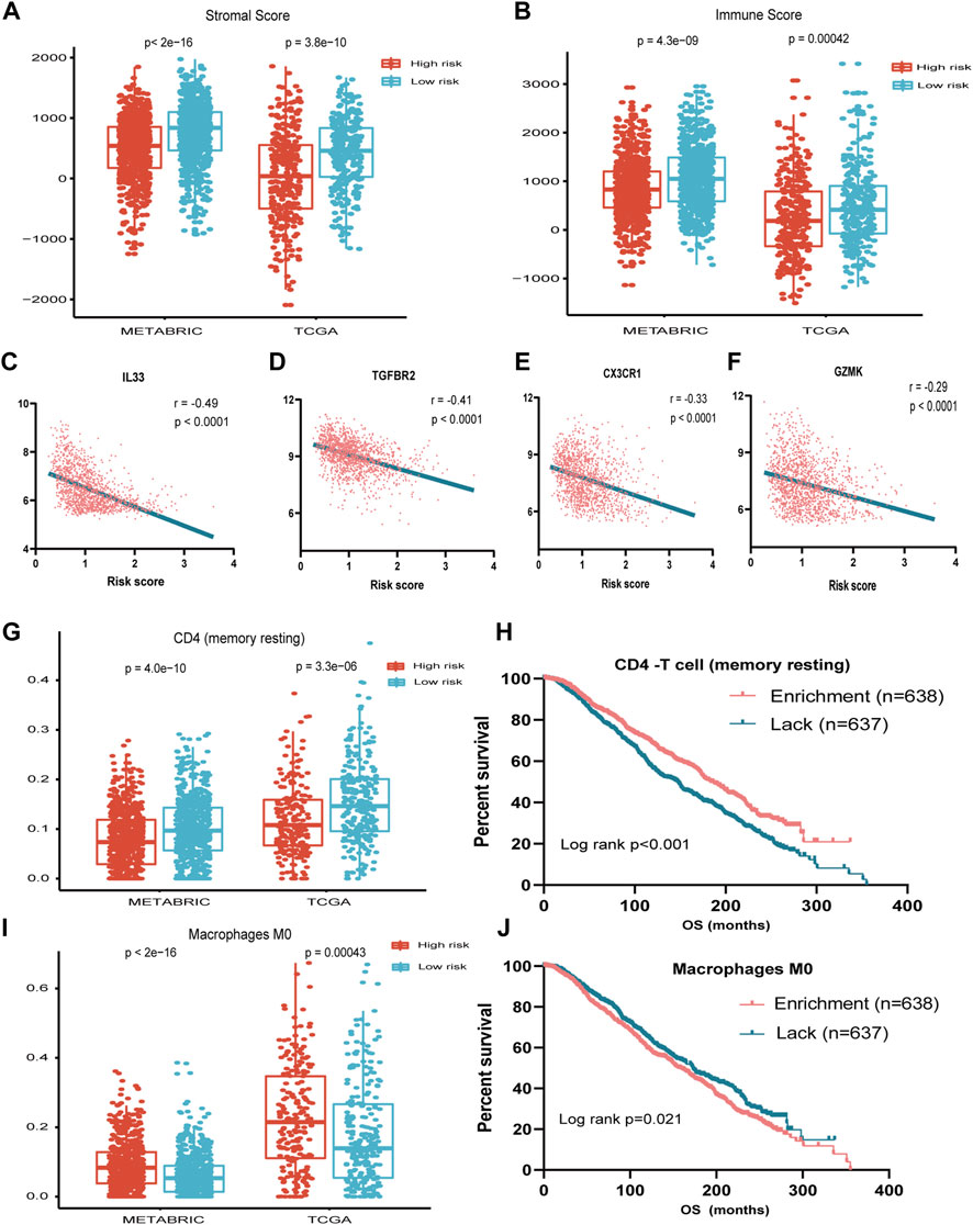 Frontiers | Novel Immune-Related Gene Signature For Risk Stratification ...