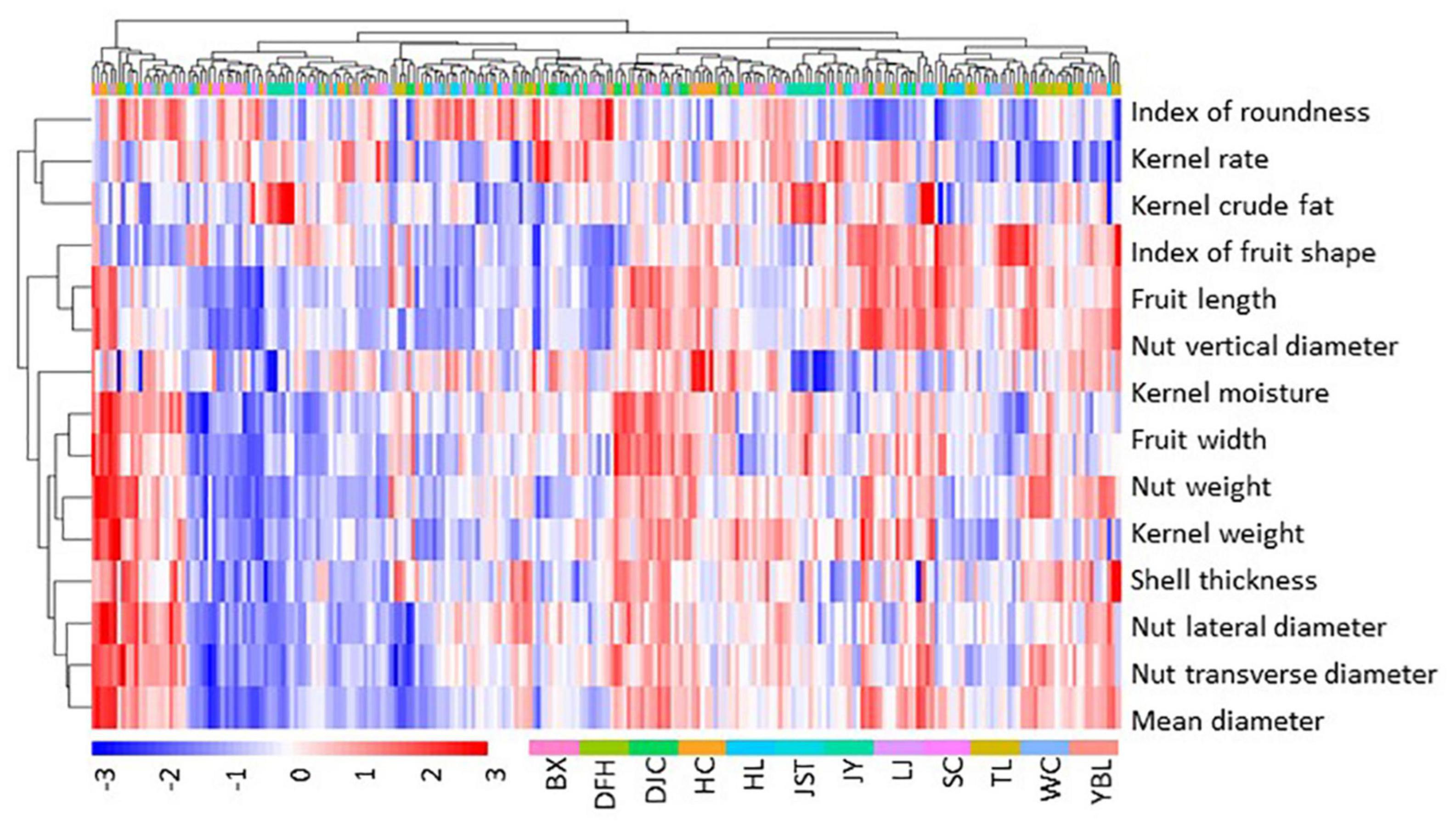 Frontiers | Diversity In Fruit Morphology And Nutritional Composition ...