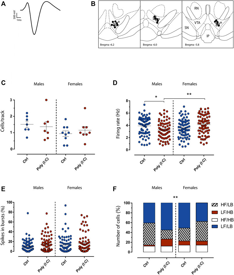 Frontiers Transgenerational Sex Dependent Disruption Of Dopamine Function Induced By Maternal 0524